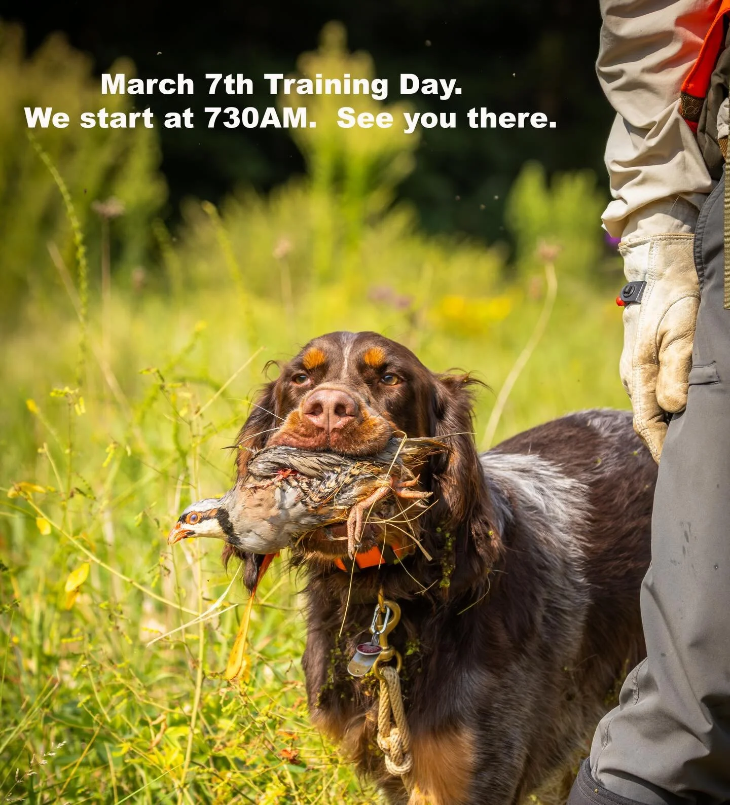 See you on Saturday!