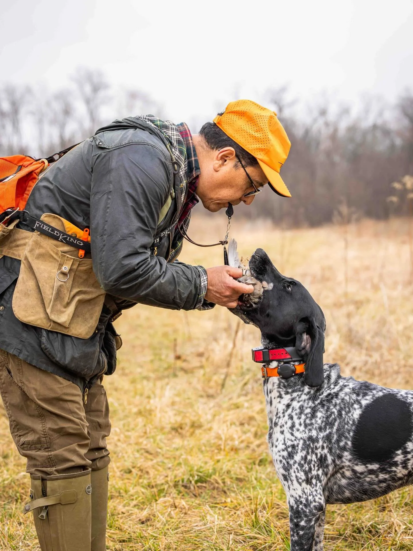 The retrieve is only half the story&hellip; how does your dog present the bird when they bring it back?  ____________________________________
#potomacnavhda #navhdainternational 📸 @eraynesphoto