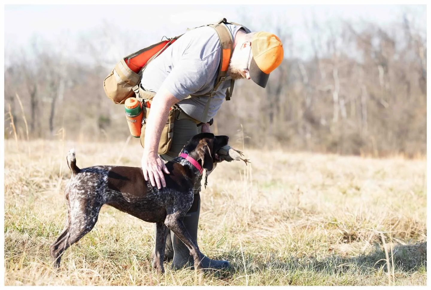 LeLu's day at the office: running, fetching, and looking smooth while prepping for the Gun Dog Test!  _________________________________
#potomacnavhda #navhdainternational #versatiledog