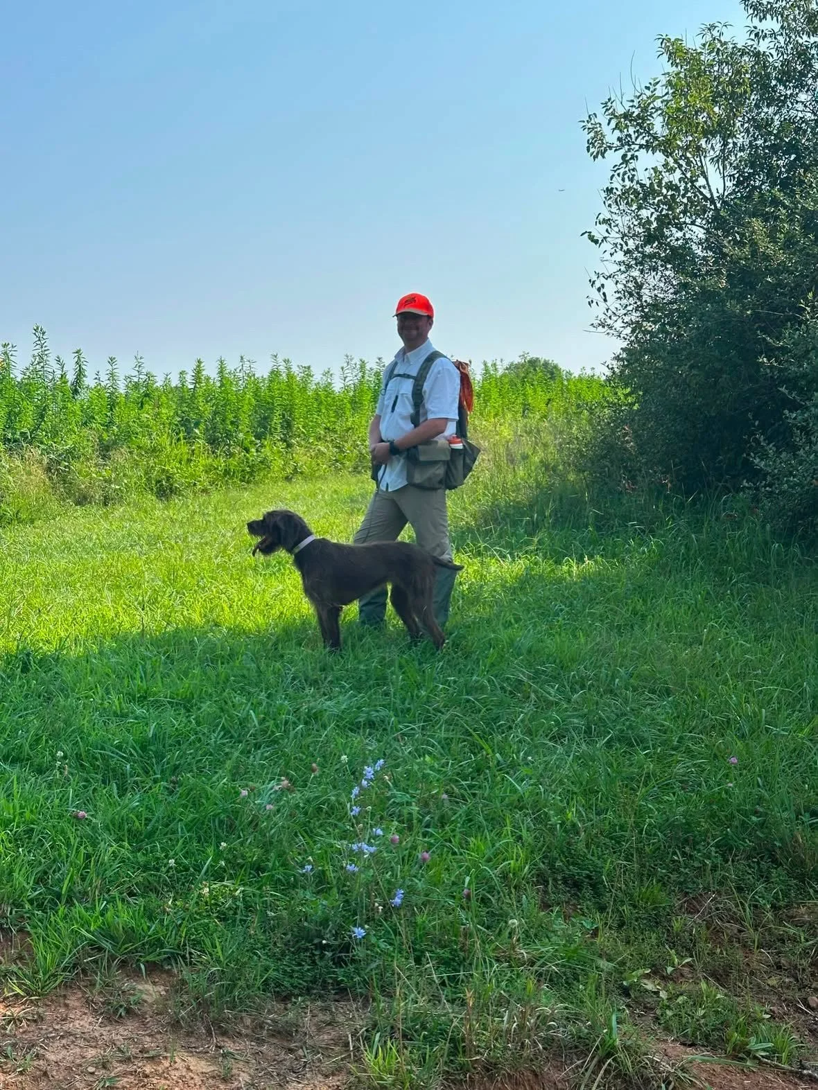 The Potomac Chapter of North American Versatile Hunting Dog Association (NAVHDA) enjoyed another great weekend together August 15&ndash;16, as Bethesda-Chevy Chase Chapter of the Izaak Walton League (BCC-IWLA) hosted Potomac NAVHDA&rsquo;s annual sum