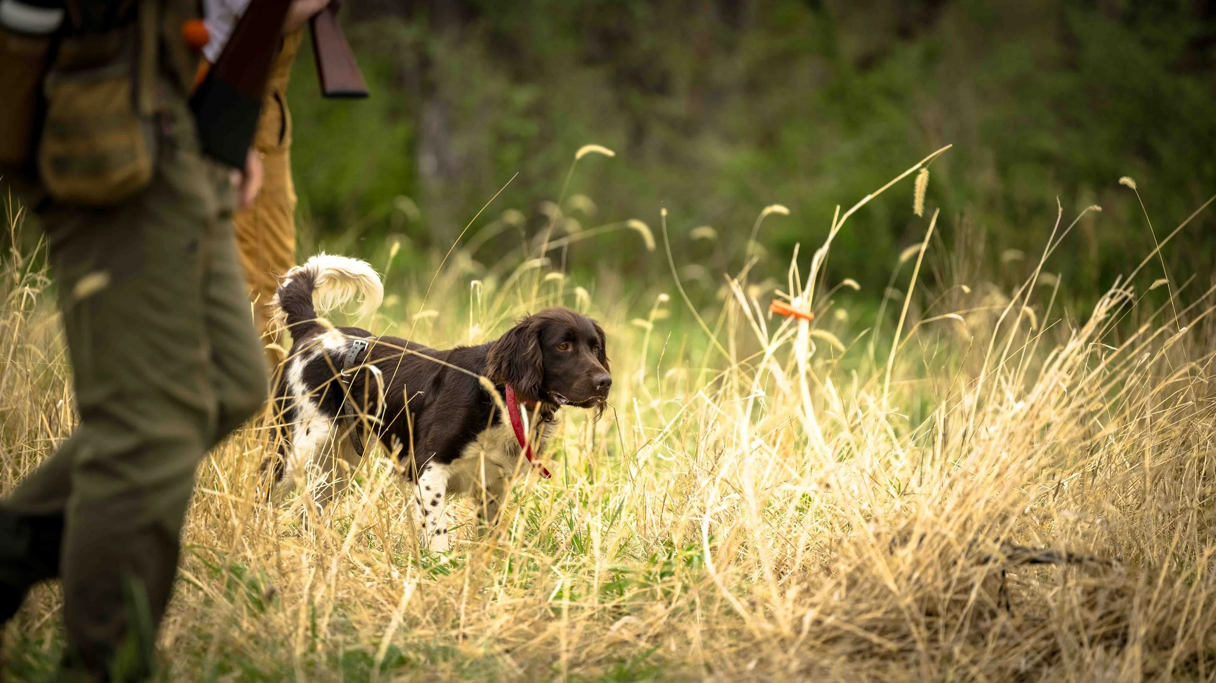 NAVHDA APR25 -12.jpg