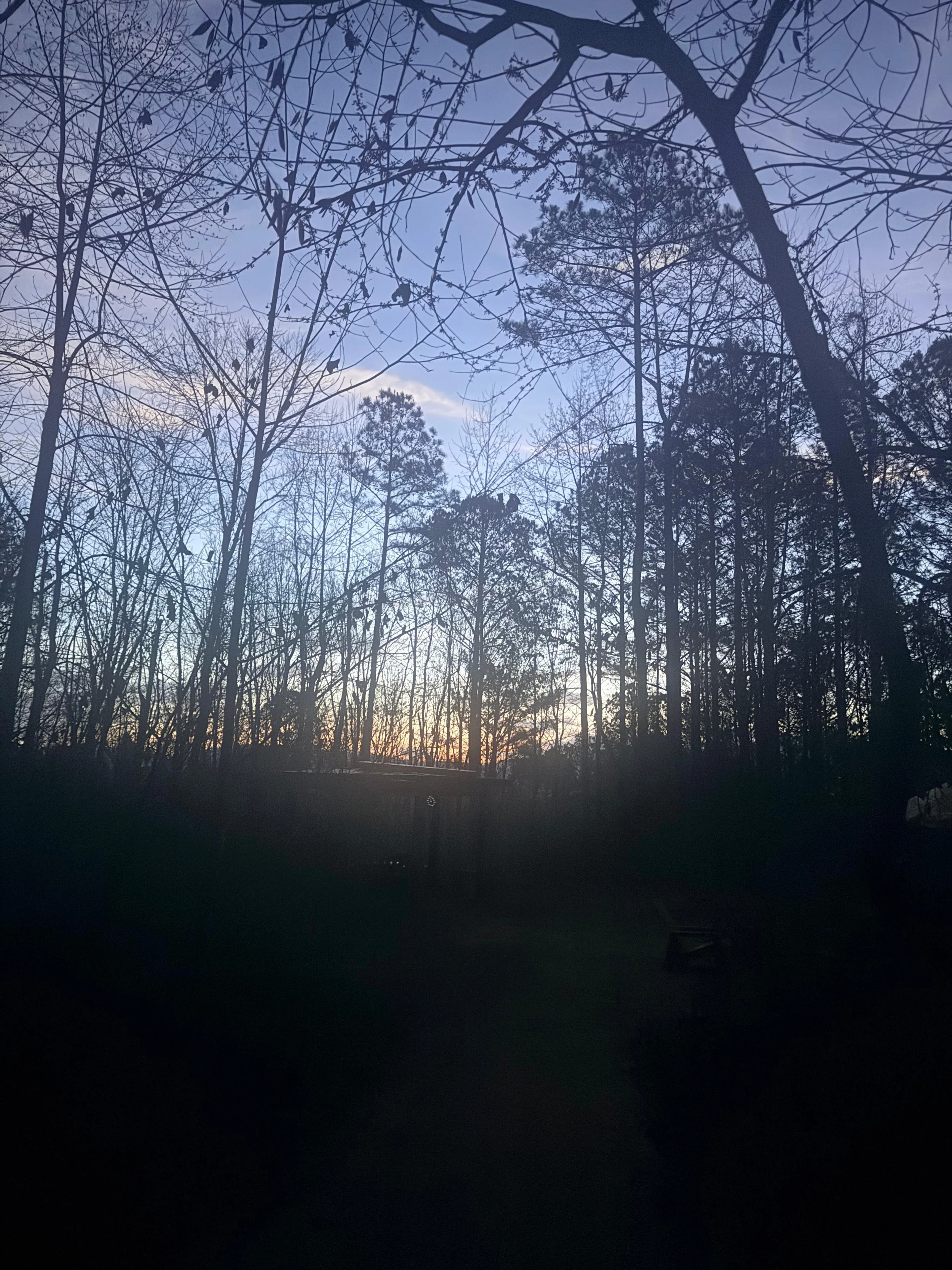 Dying: An Opportunity for Awakening 09.18.26