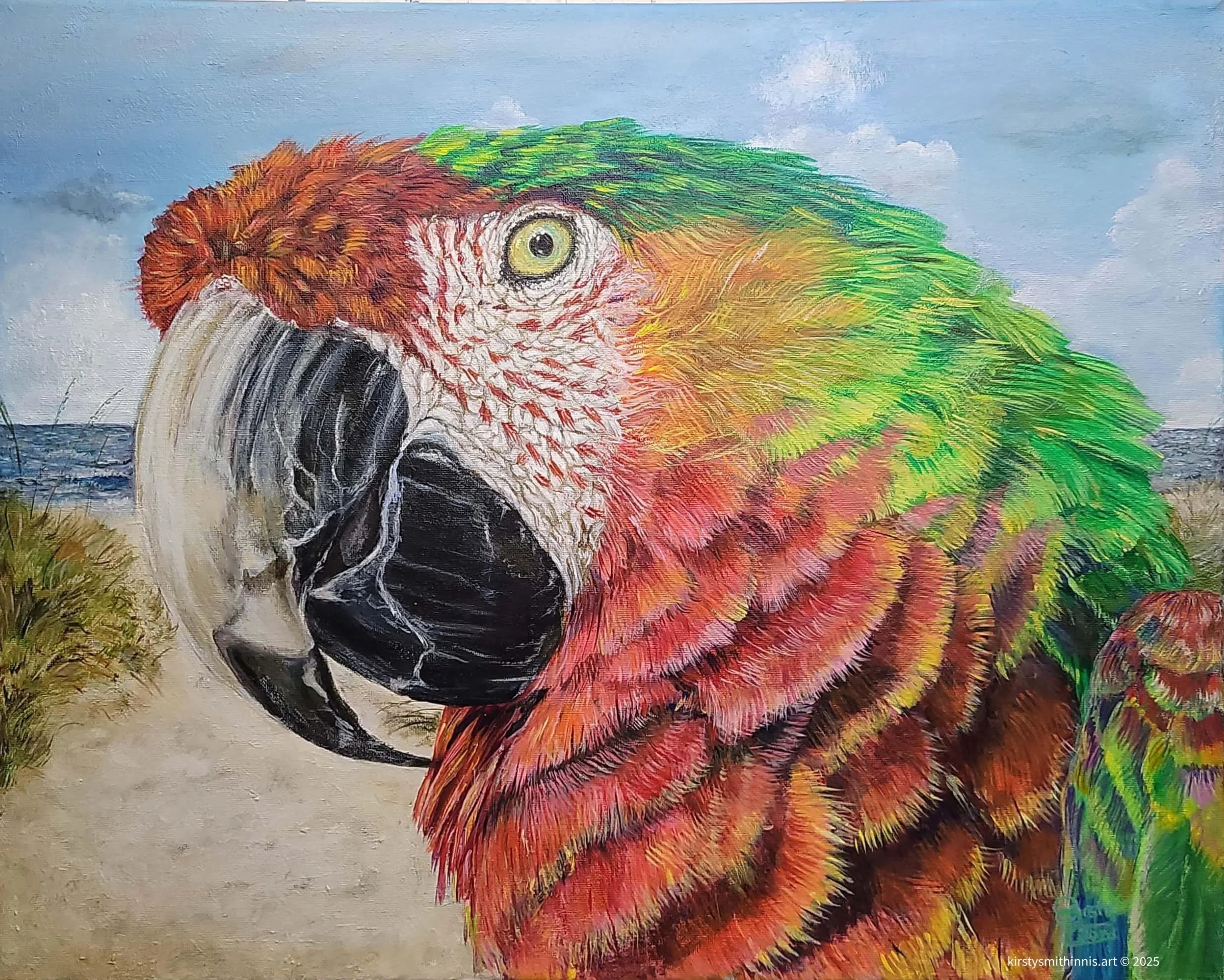 Kirsty Smith-Innis, Parrot-ly Obscured Ocean View, 2023, Acrylic on canvas, 16 x 20 inches, $550