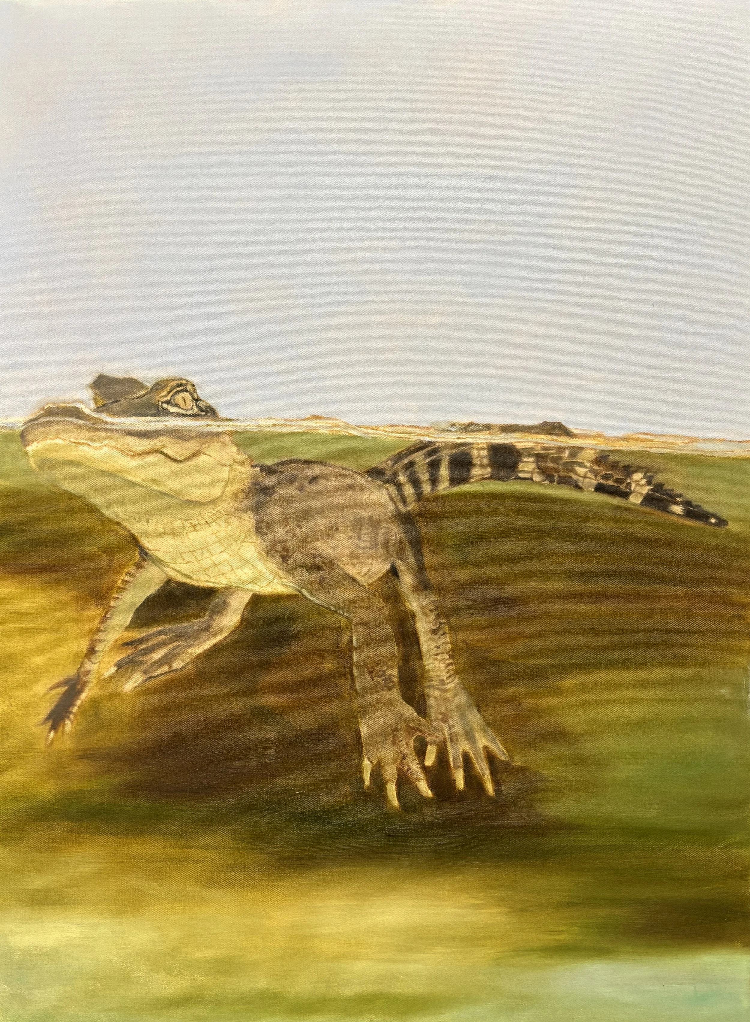 Meredith Graf Owens, Alligator, Oil on canvas, 40 x 30 inches, $1500
