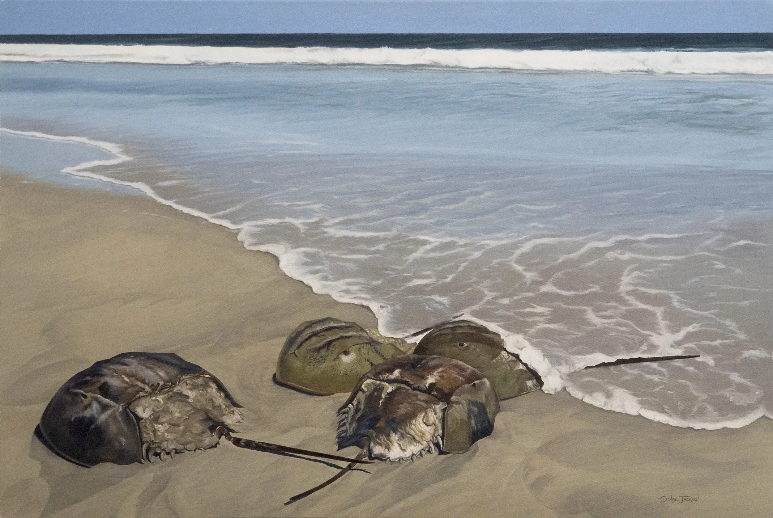 Denise Jackson, Guardians of the Tide, 2025, Oil on canvas, 24 x 36 inches, $3280