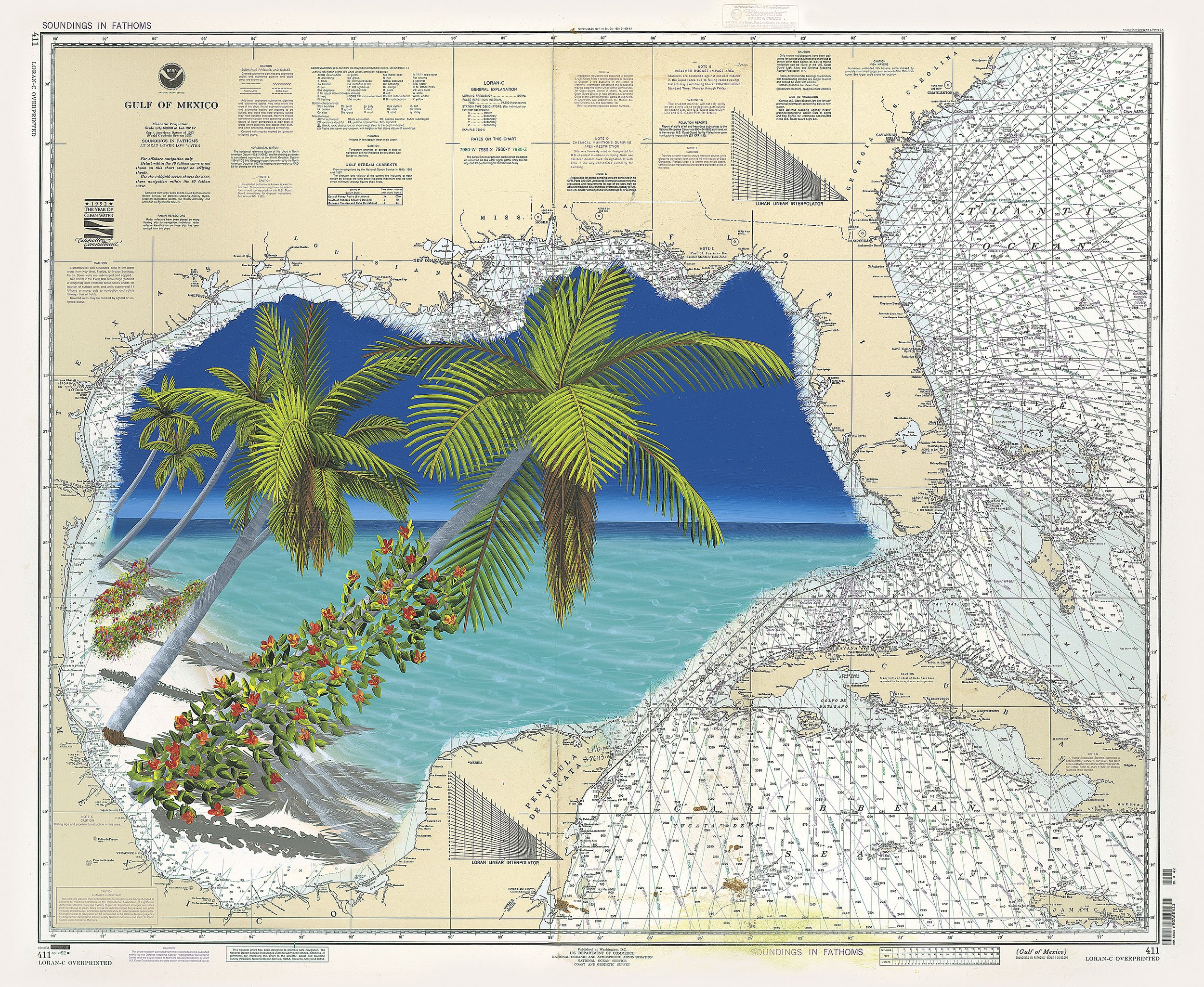 Dan Mackin, Floral Days, 2014, Inkjet print of acrylic on map, 28 x 32 inches, Raffle Item: please purchase some raffles!