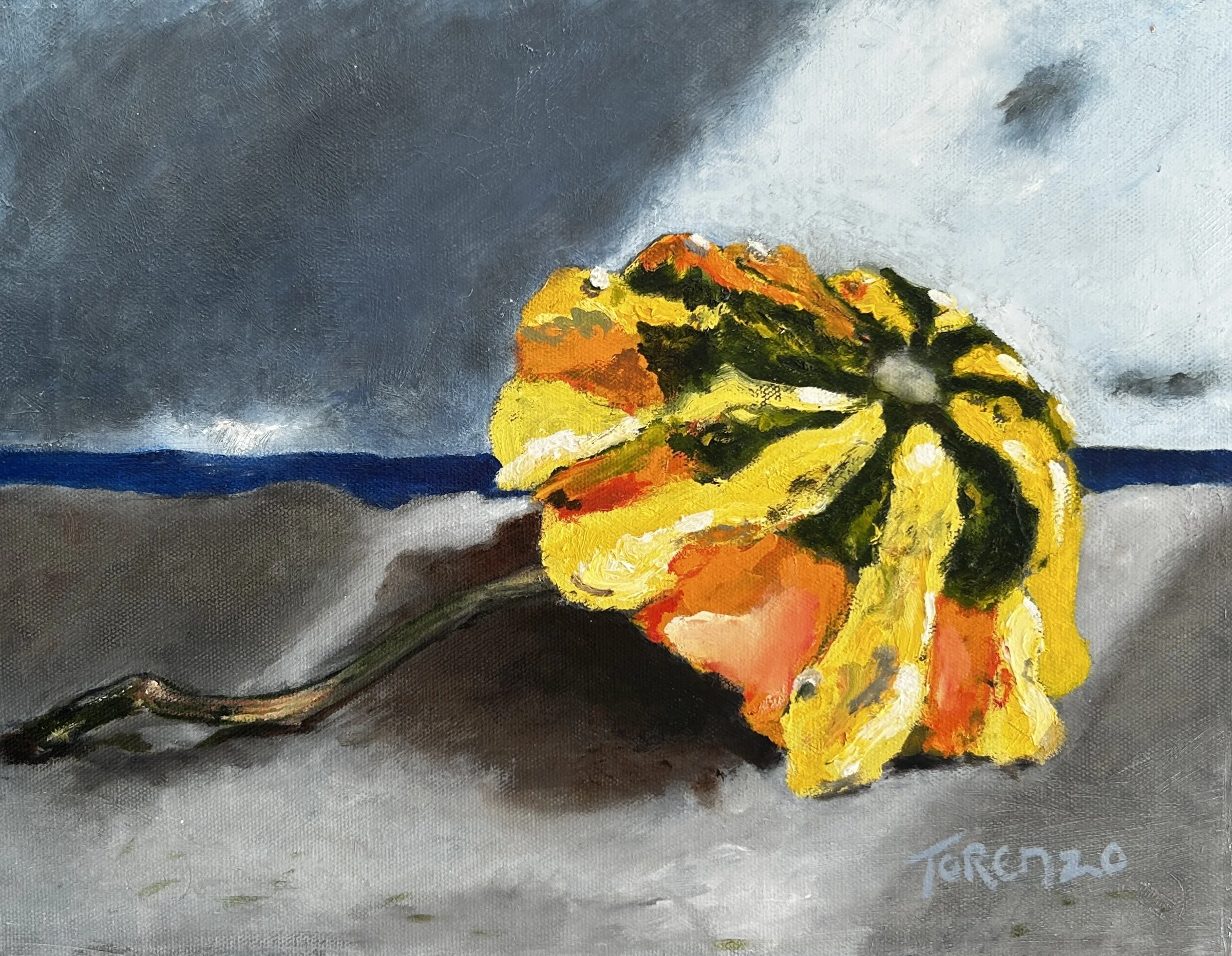 Torenzo Gann, Beach Gourd, 2022, Oil on canvas, 11 x 14 inches, $400