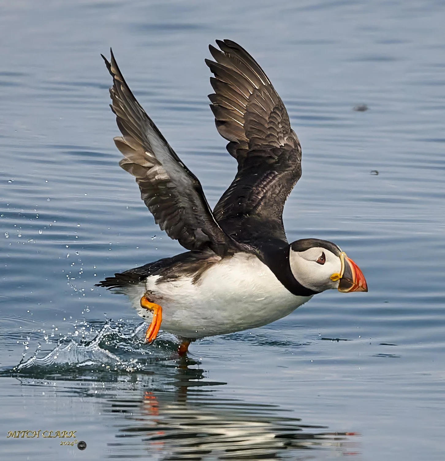 MSC_7051 2 copy 2.jpg