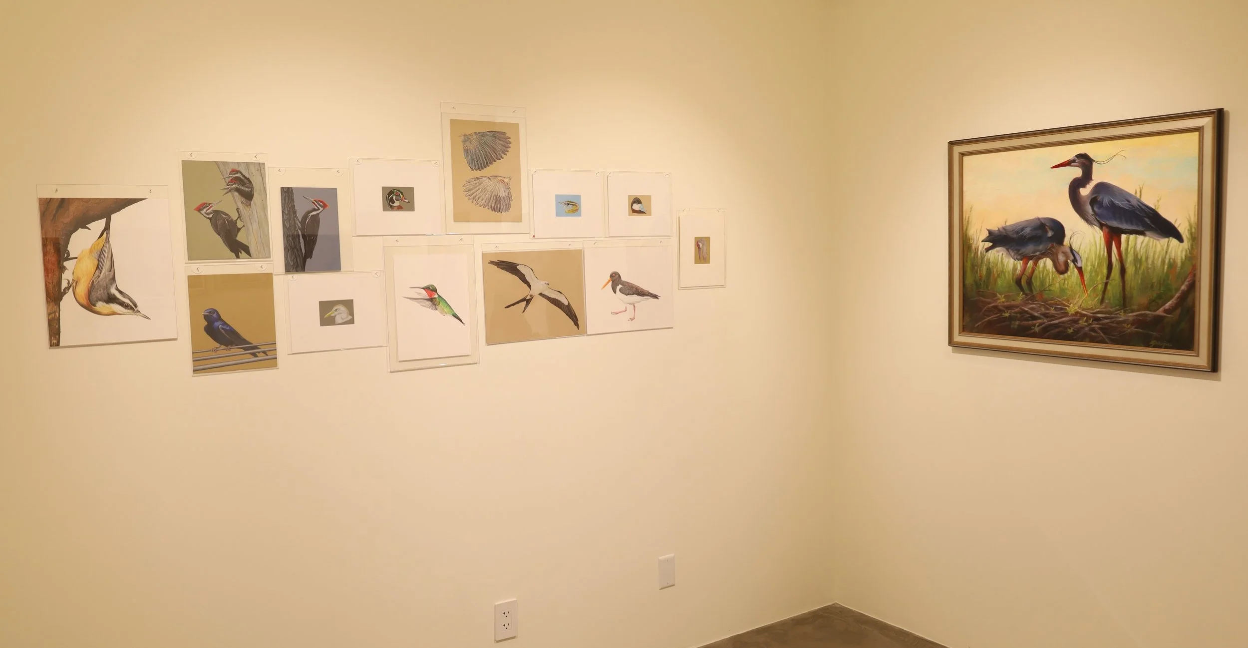 Inner gallery 2.jpeg