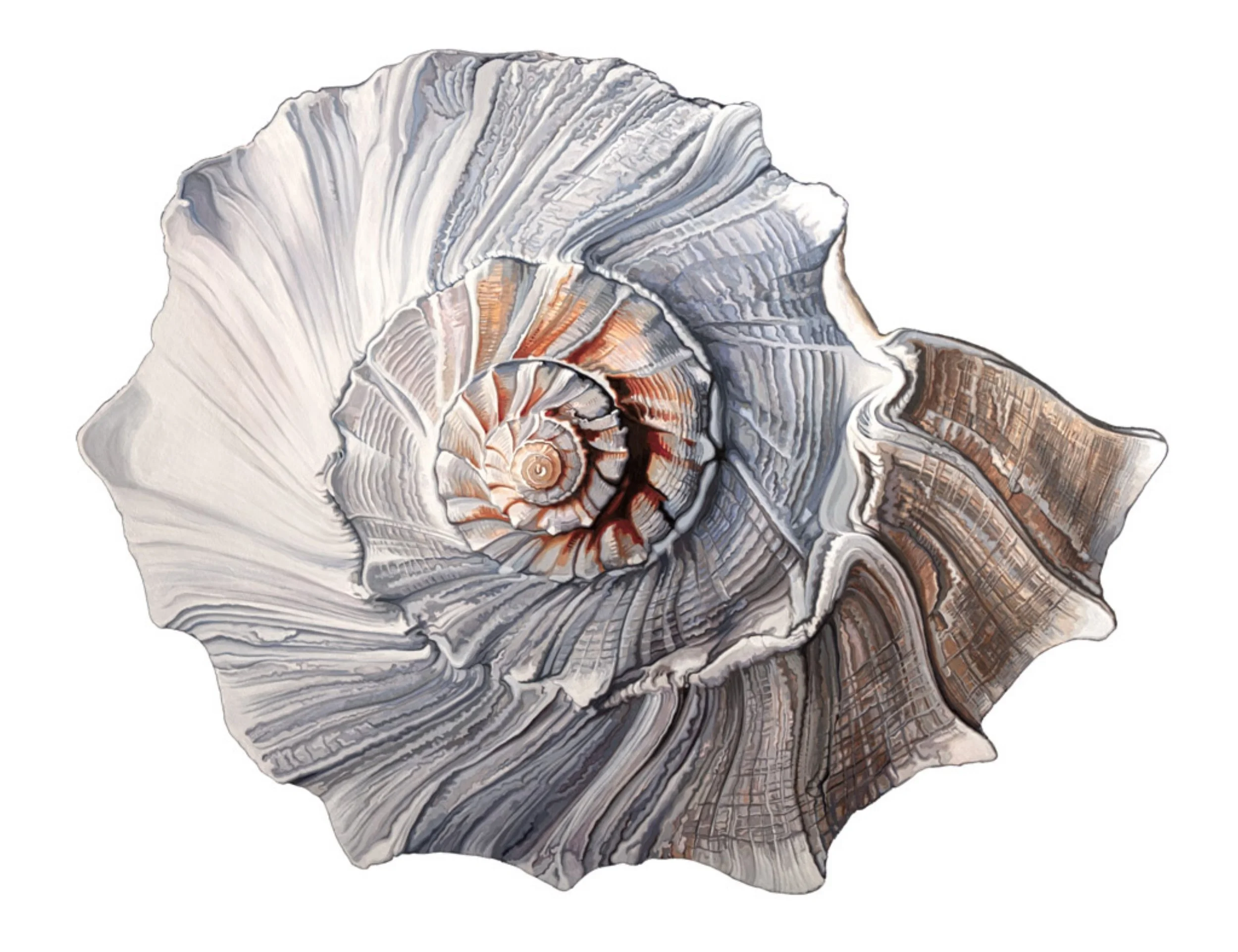 Susan Martin, Spiral, 2011, Acrylic on canvas over plywood, 38 x 48 inches, $11,000