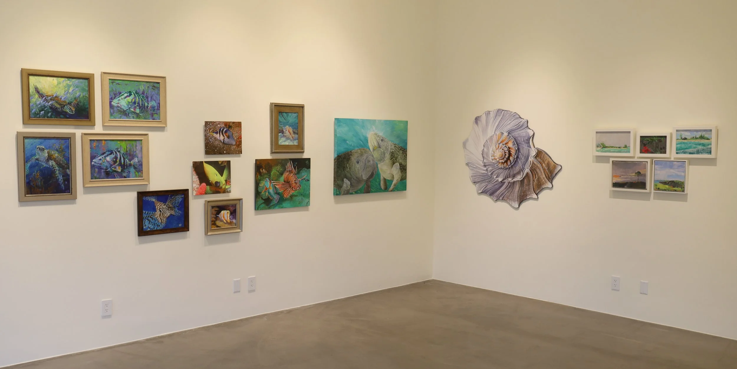 South gallery 3.jpeg