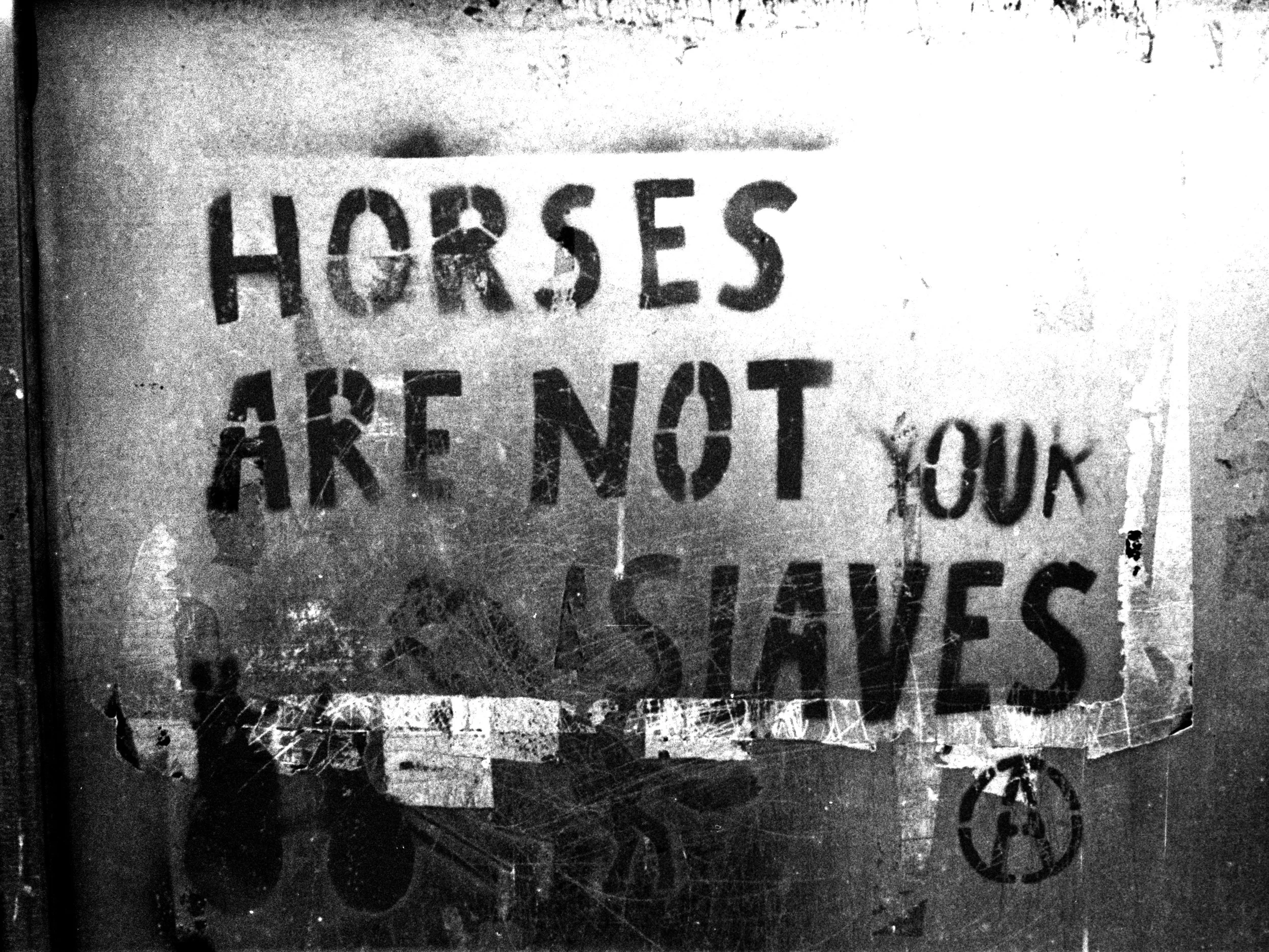 27_323_01.jpg