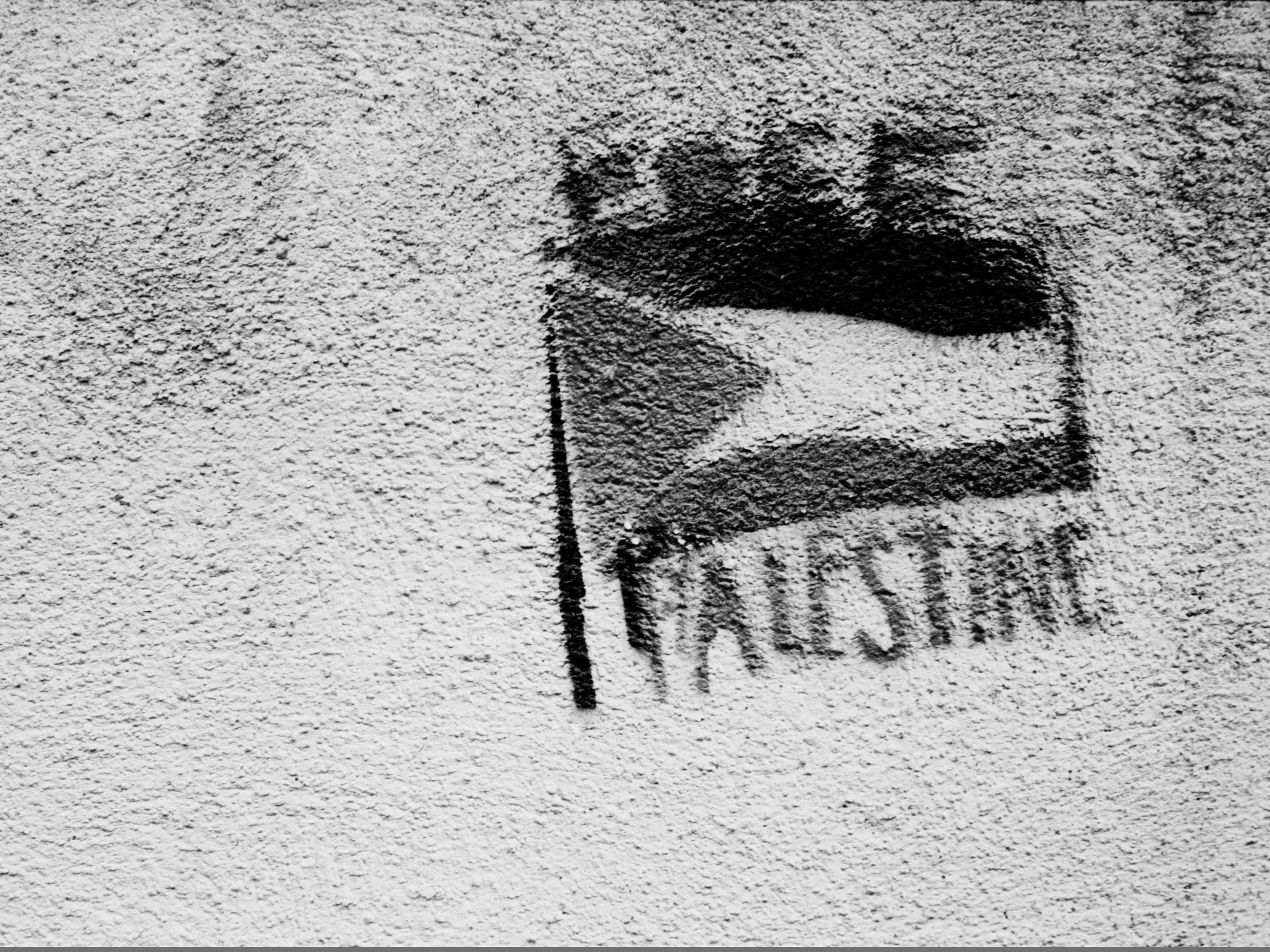 20_336_24.jpg