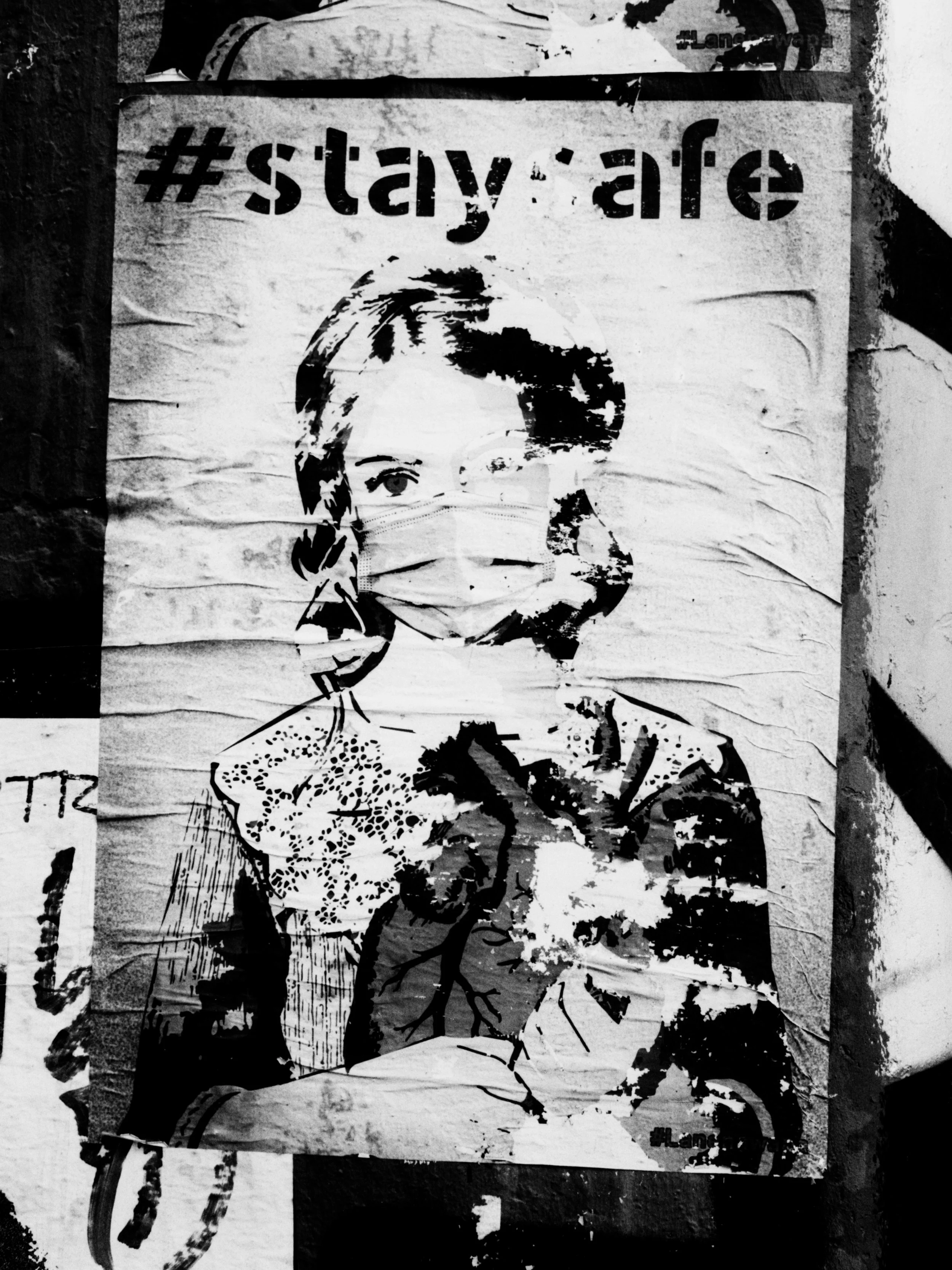 41_307_03.jpg
