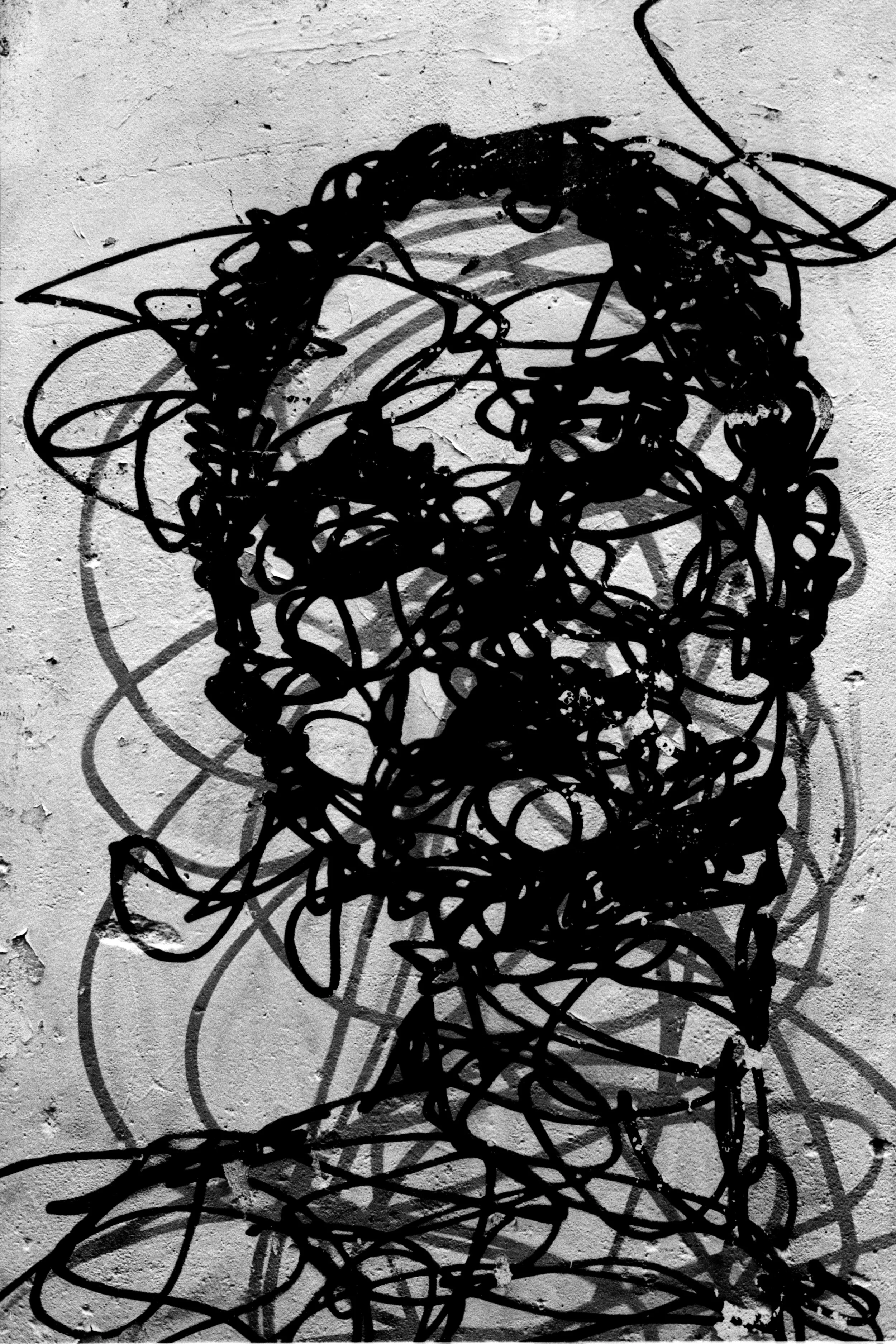 54_336_13.jpg