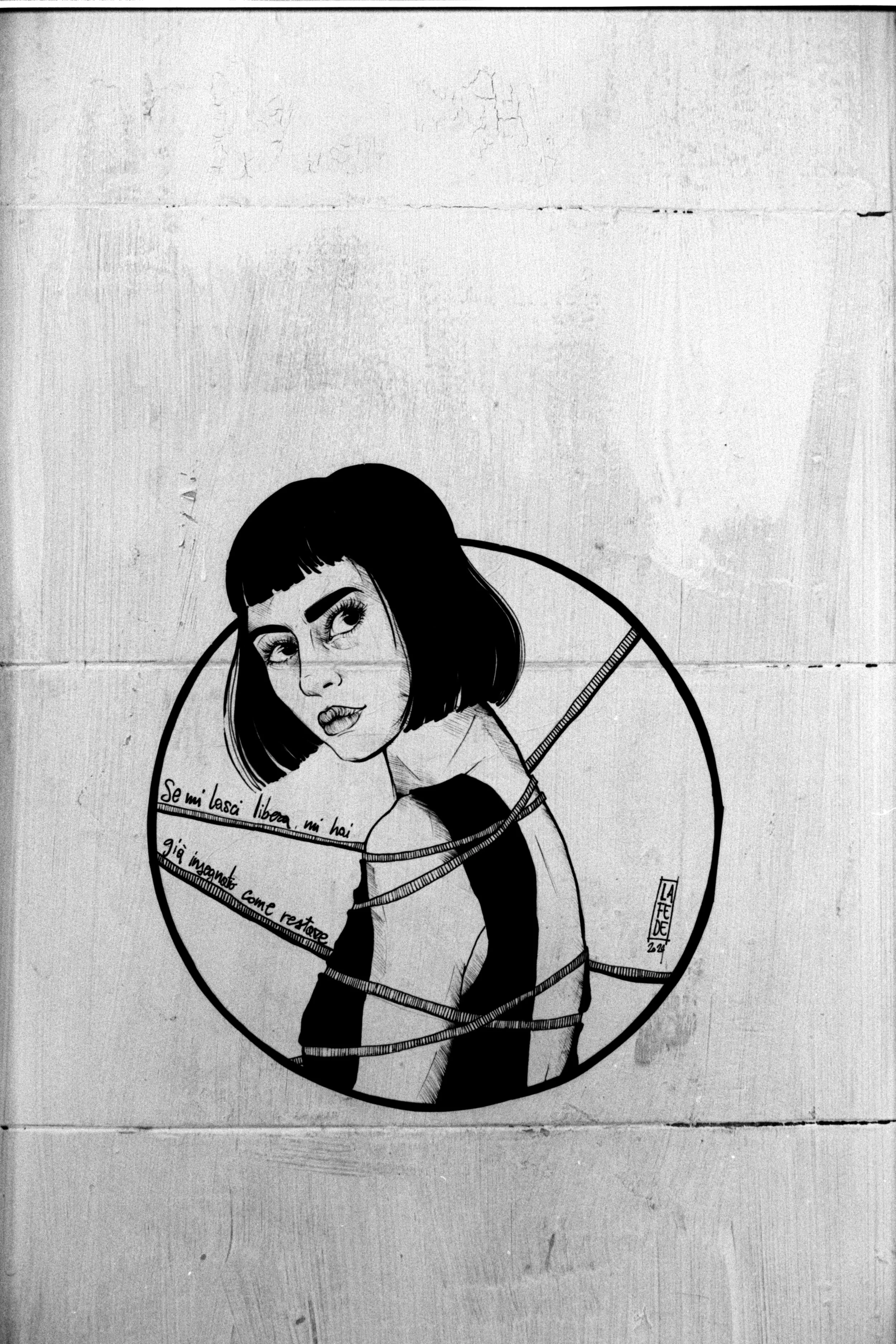 32_343_30.jpg