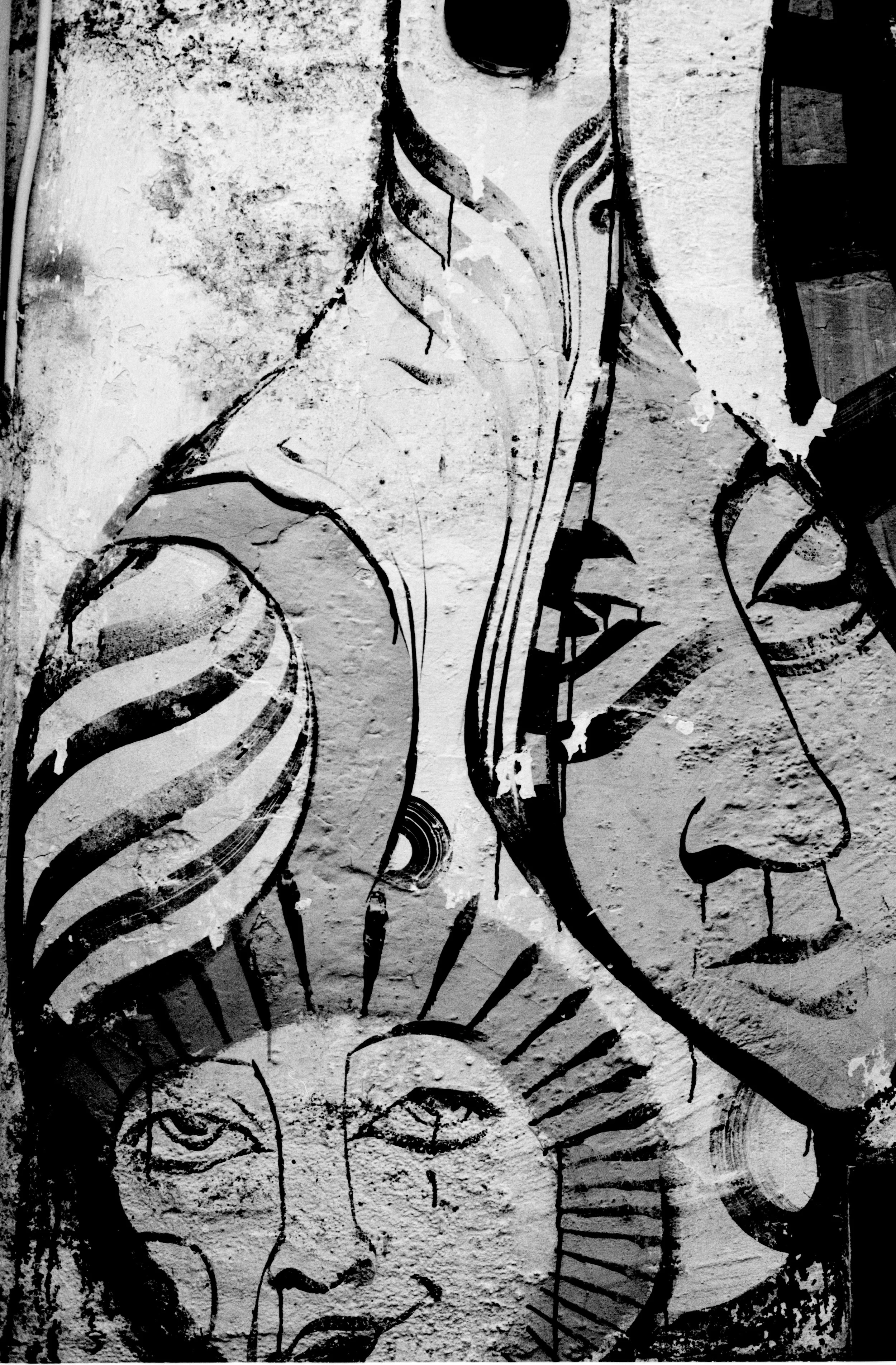 58_310_17.jpg