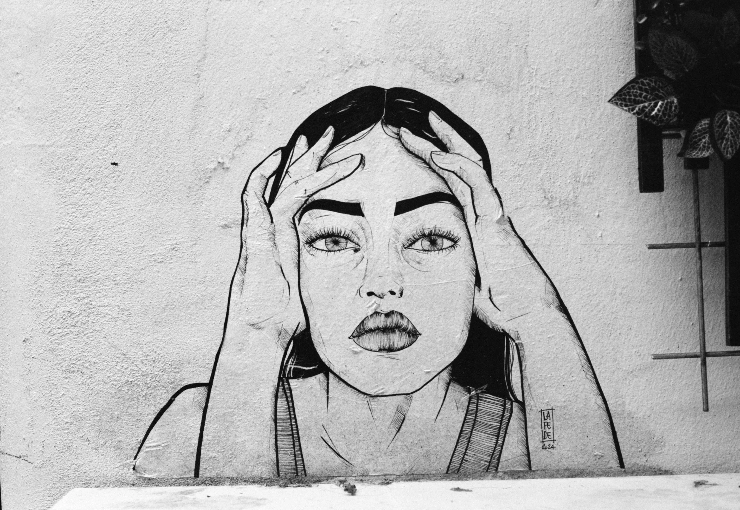 47_344_01.jpg