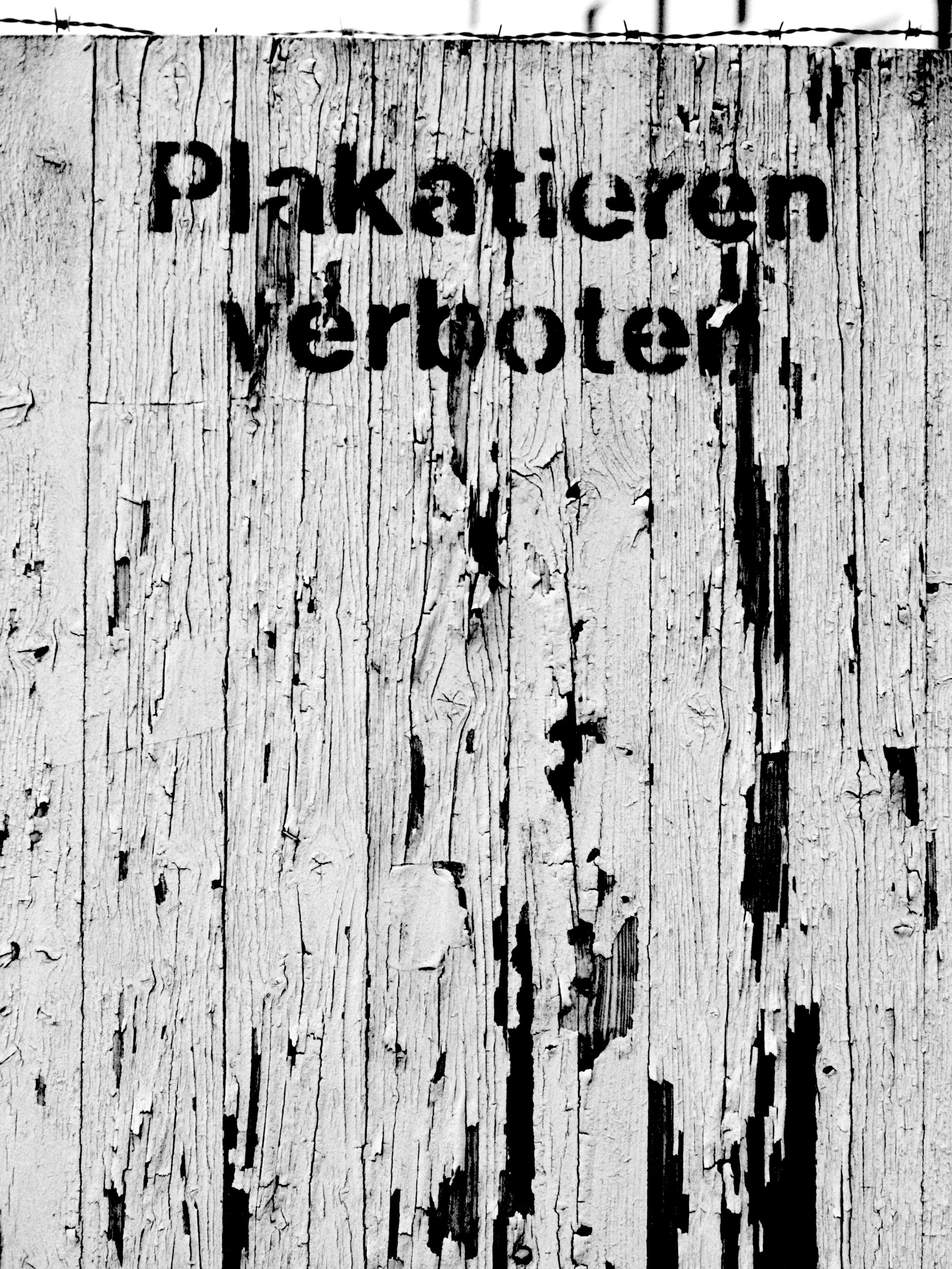 40_314_12.jpg