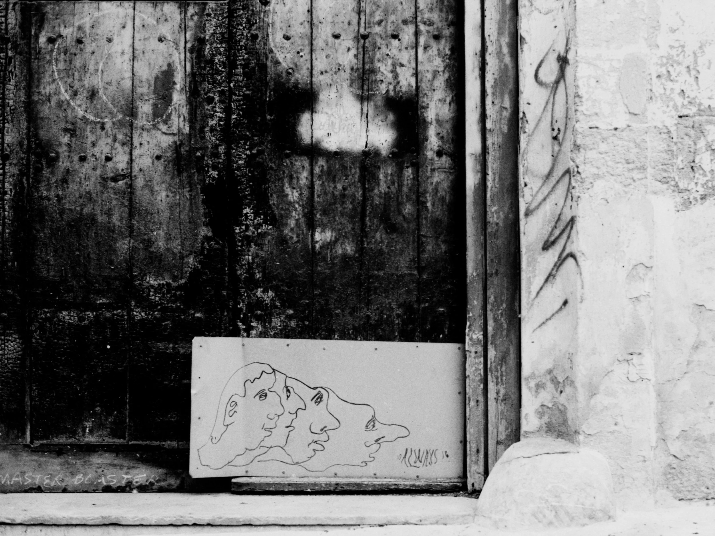 46_310_19.jpg