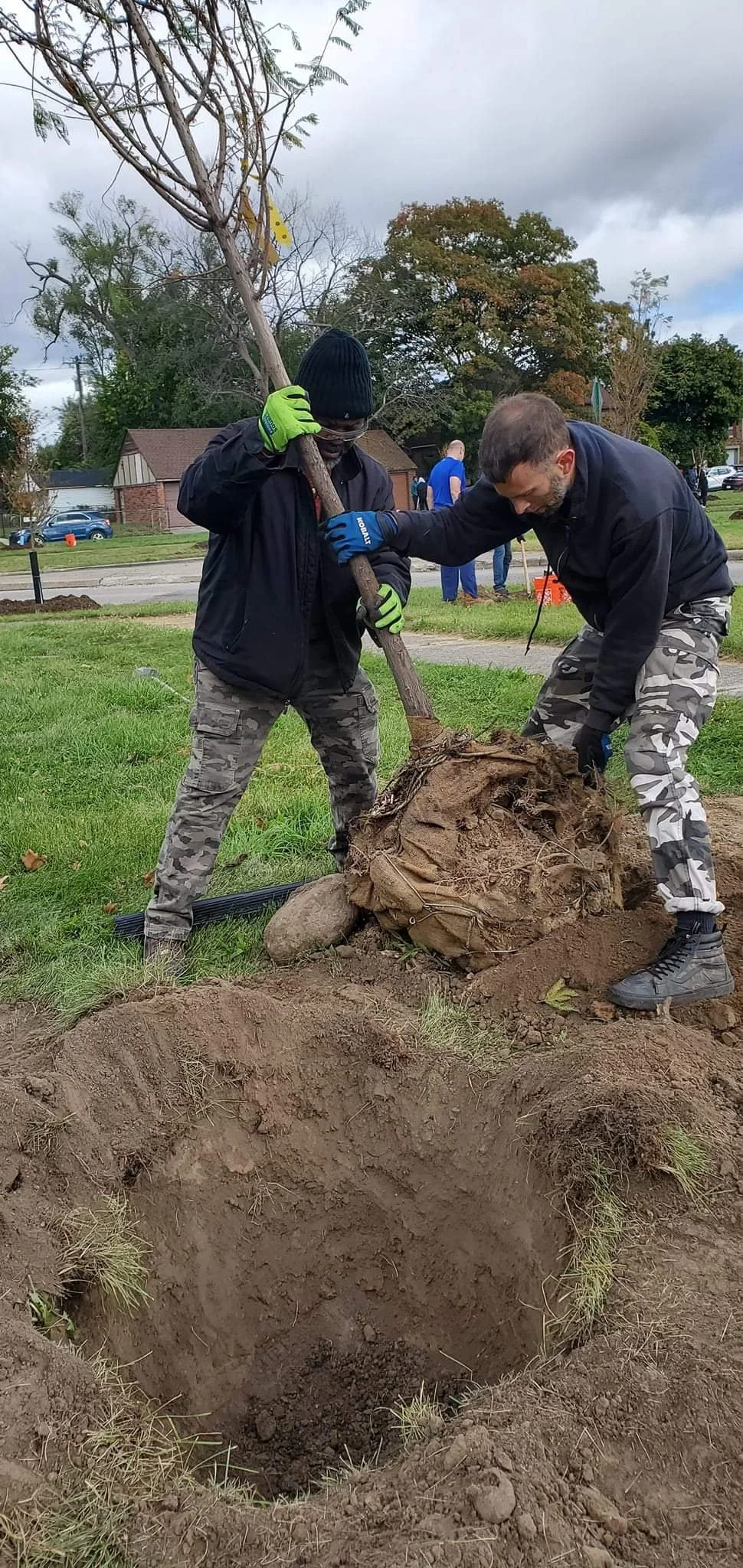 tree planting 10.jpg