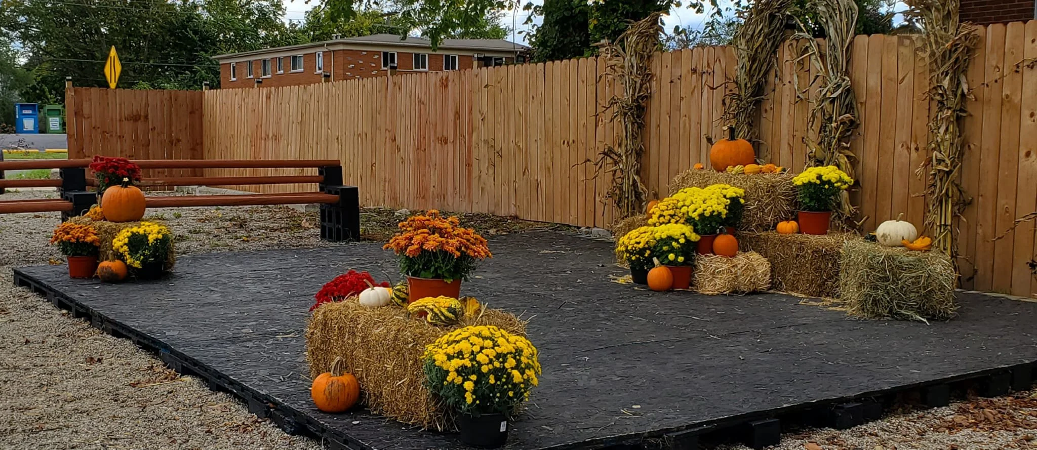 pic of community space in fall.jpg