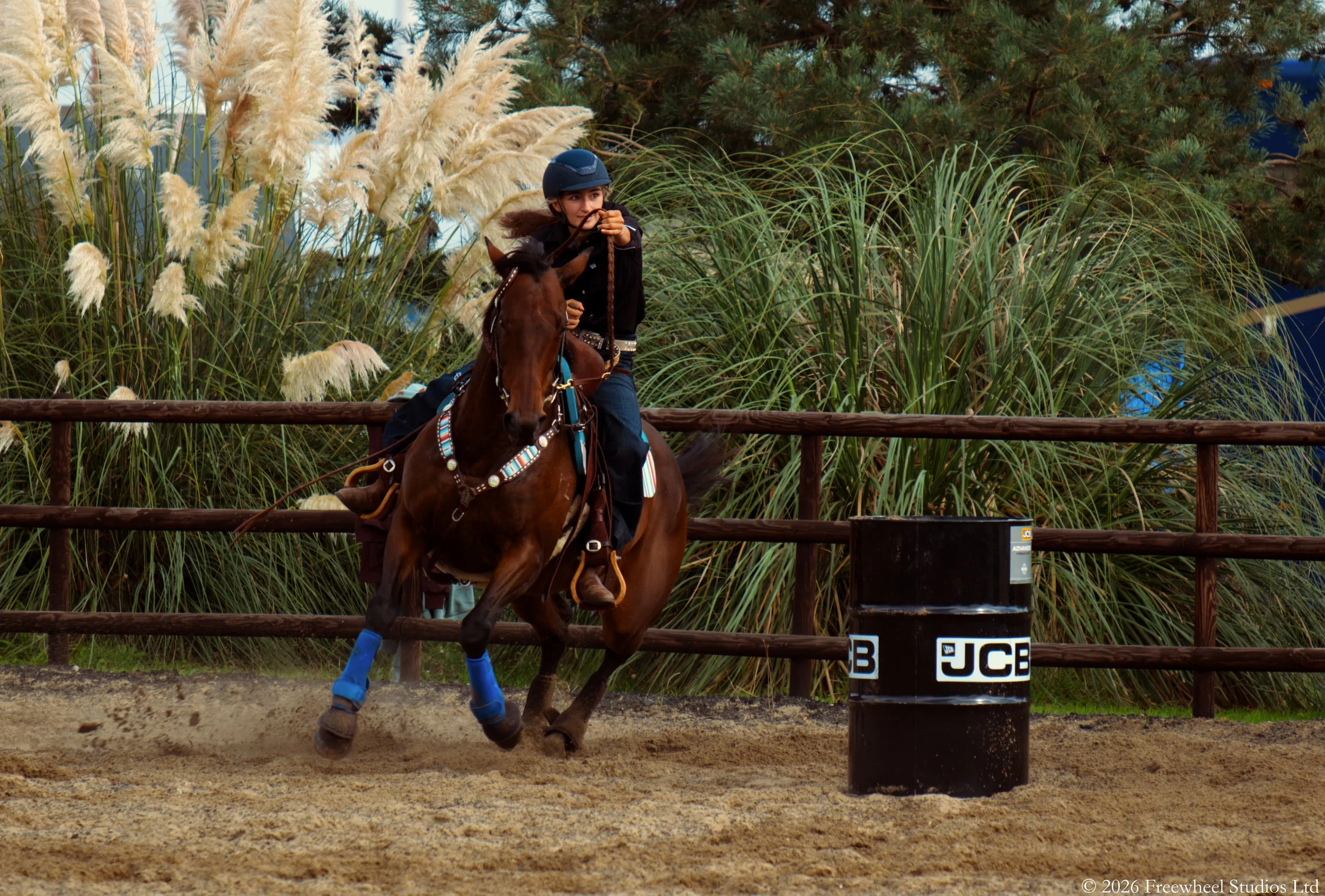 DSCF2354AFWS.jpg