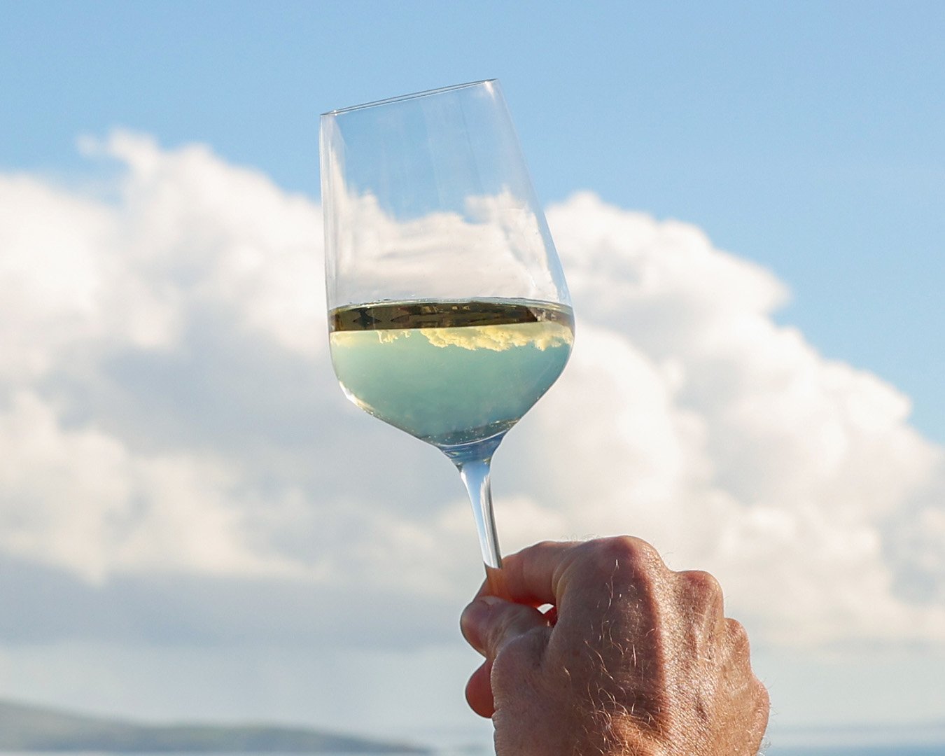 VC_Portfolio_SALDO_FeaturedProject-TheSALDOWineCollective-Photography-19.jpg