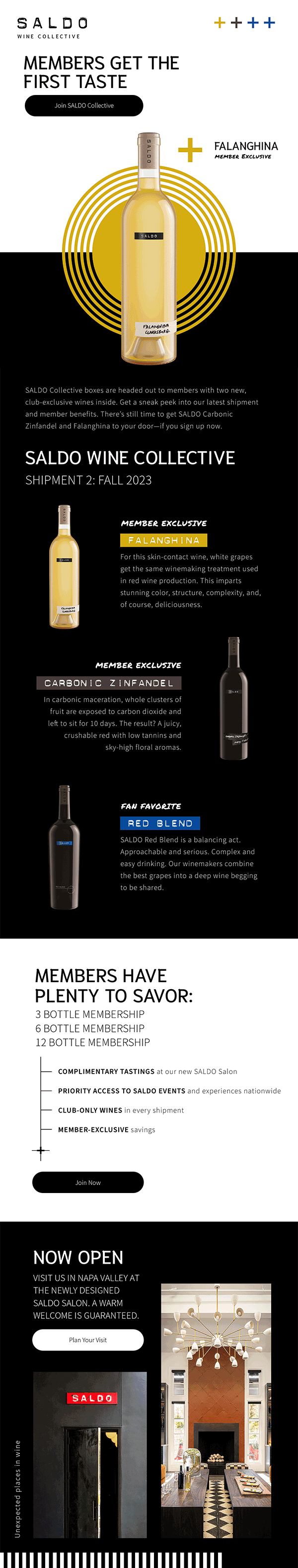 VC_Portfolio_SALDO_FeaturedProject-TheSALDOWineCollective-Email-4.gif