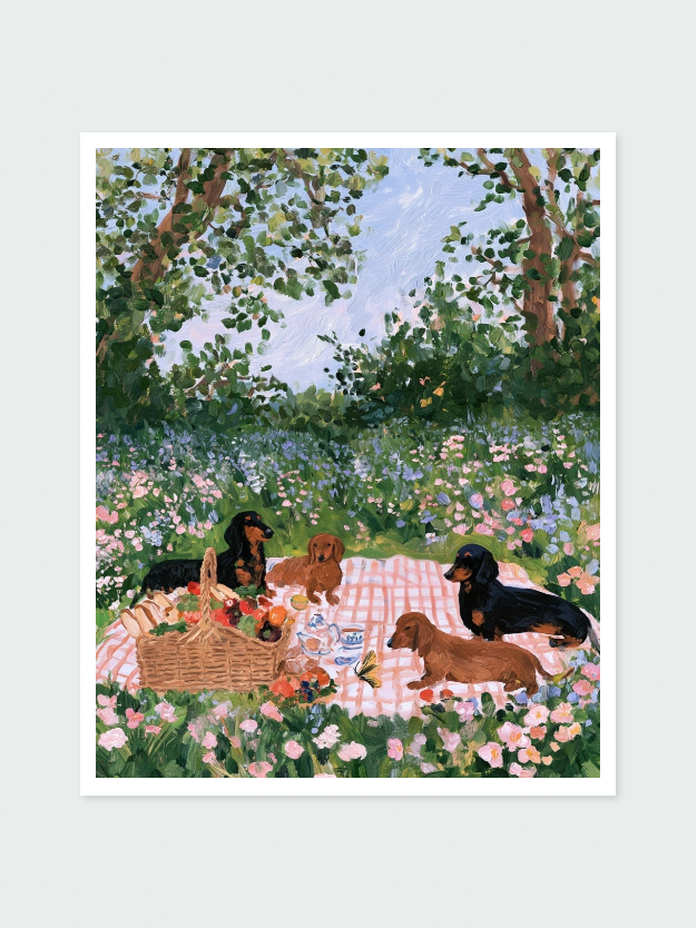 Doxie Picnic