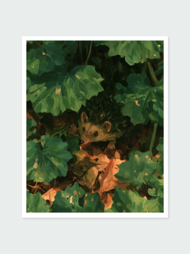 The Woodland Floor