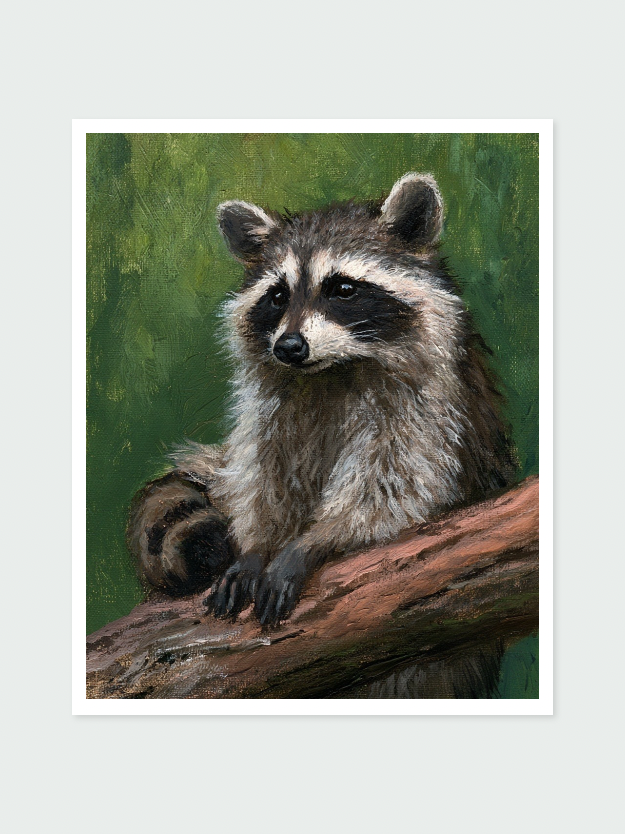The Woodland Bandit