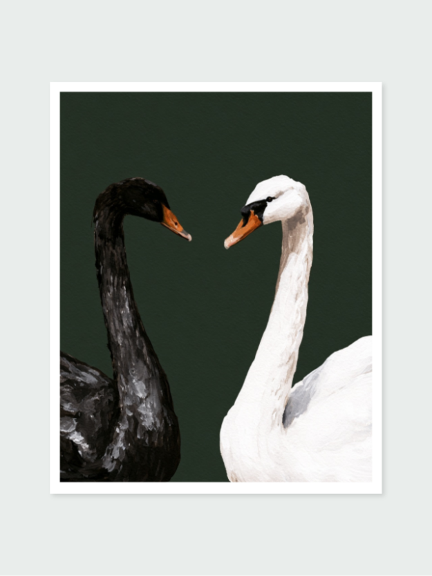 Ink And Ivory