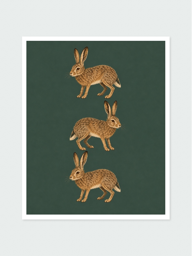 Hare Triplets