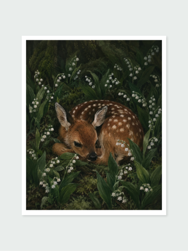 Woodland Nap