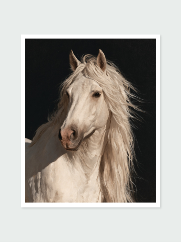 The Stallion