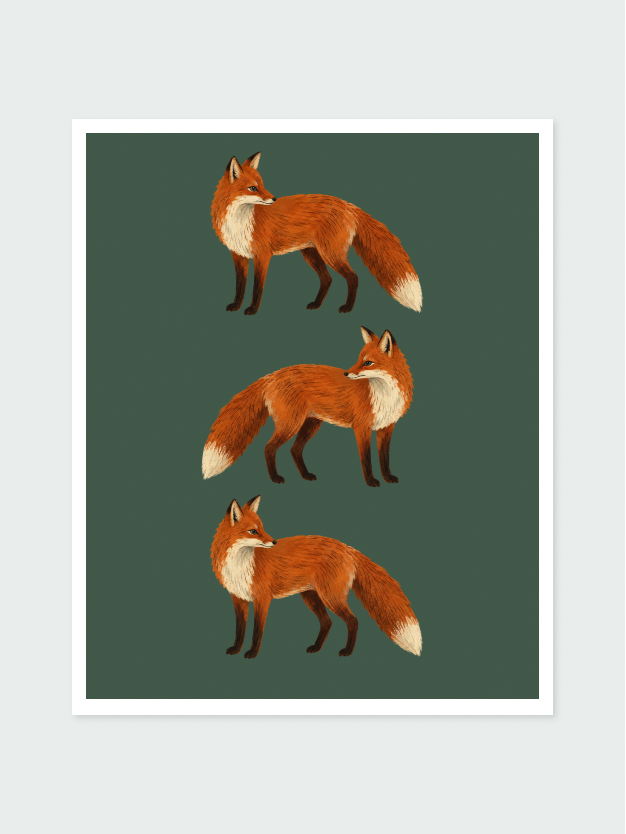Fox Triplets