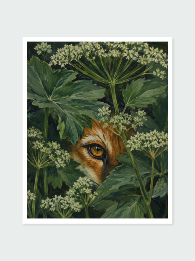 Fox Through The Ferns