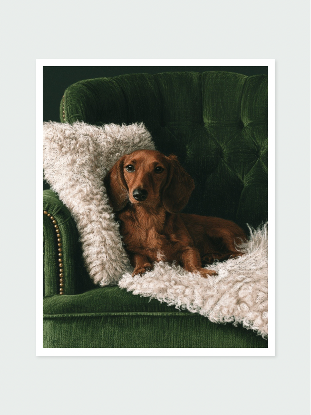 Master Of The Armchair