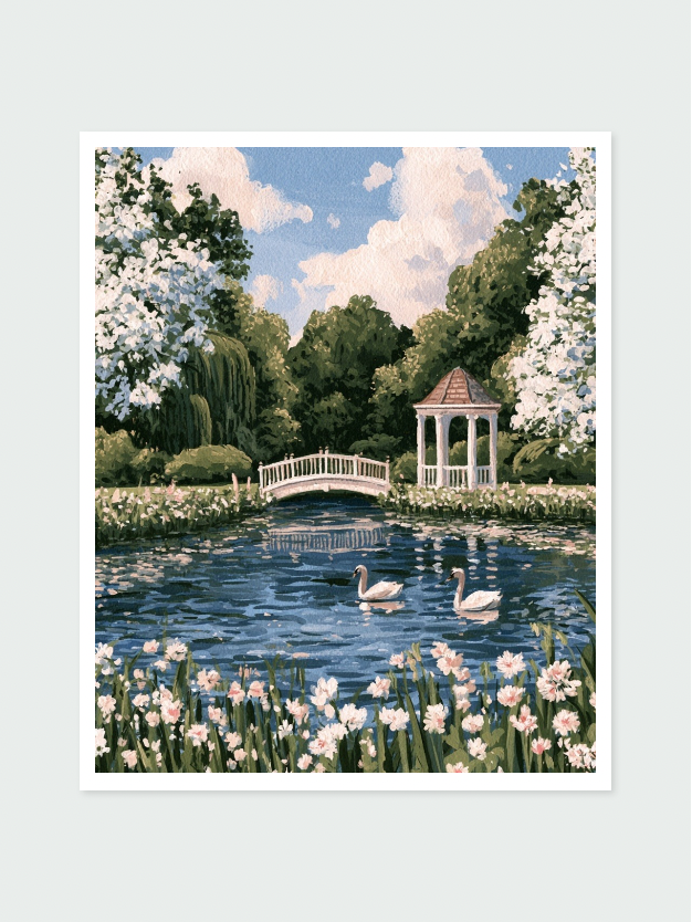 Where Swans Gather