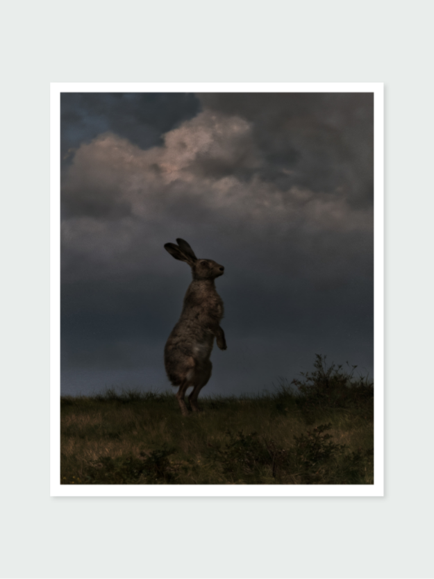 Hunted By The Haunted