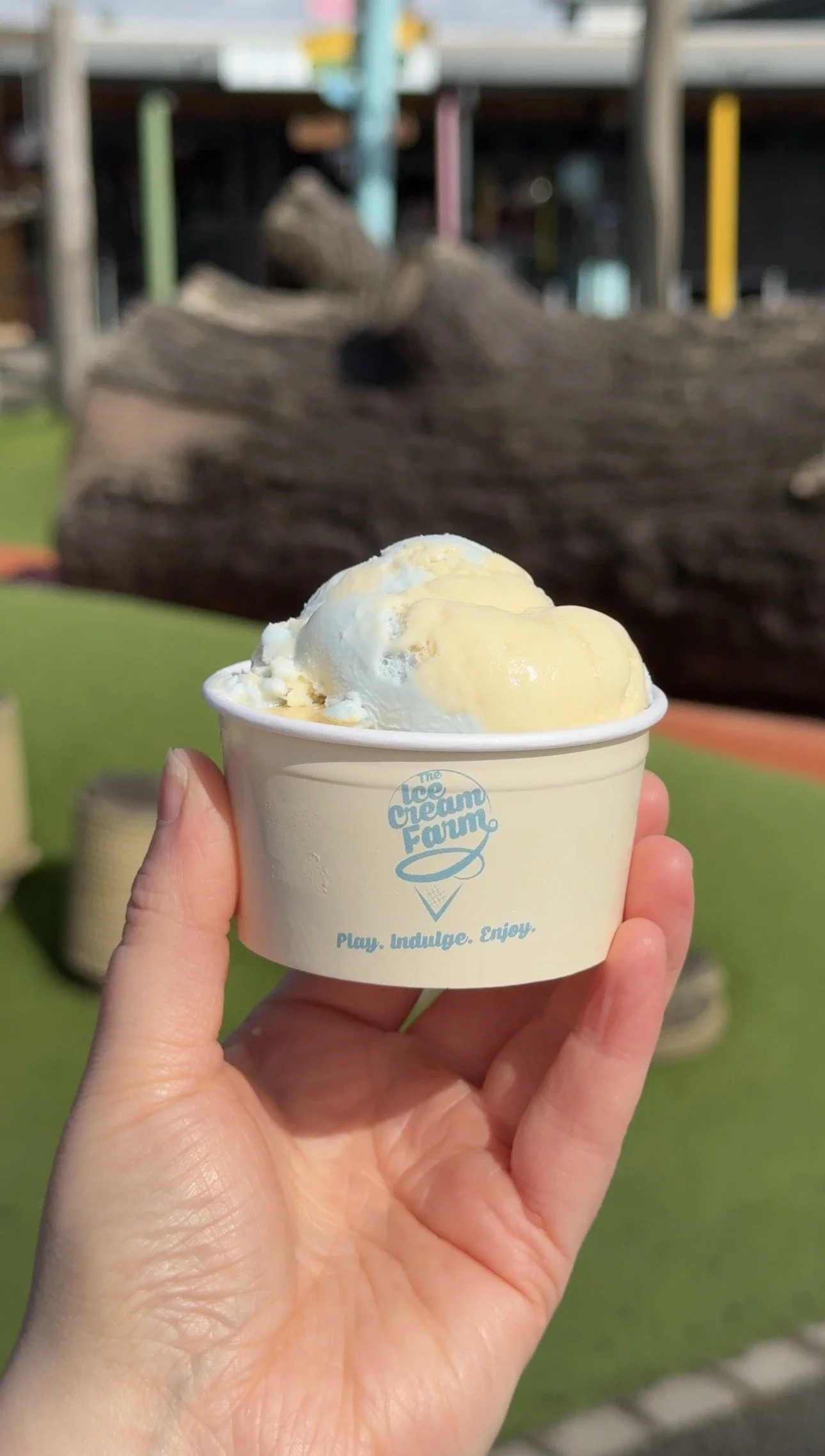 Attractions & Experiences