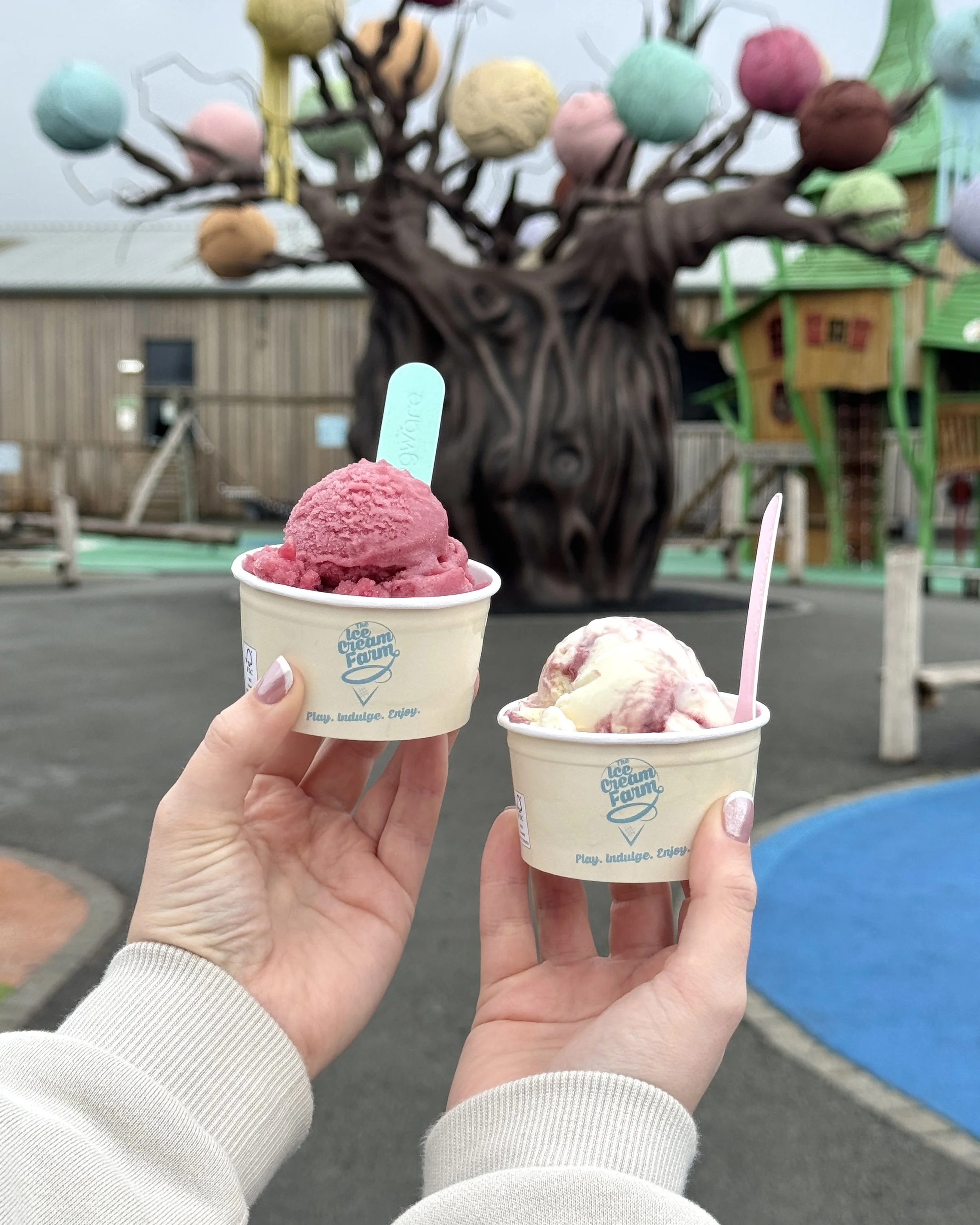 Two hands holding cups of ice cream in front of a playground with a large tree sculpture. One cup has pink ice cream, and the other has white ice cream with pink swirls at The Ice Cream Farm Cheshire.