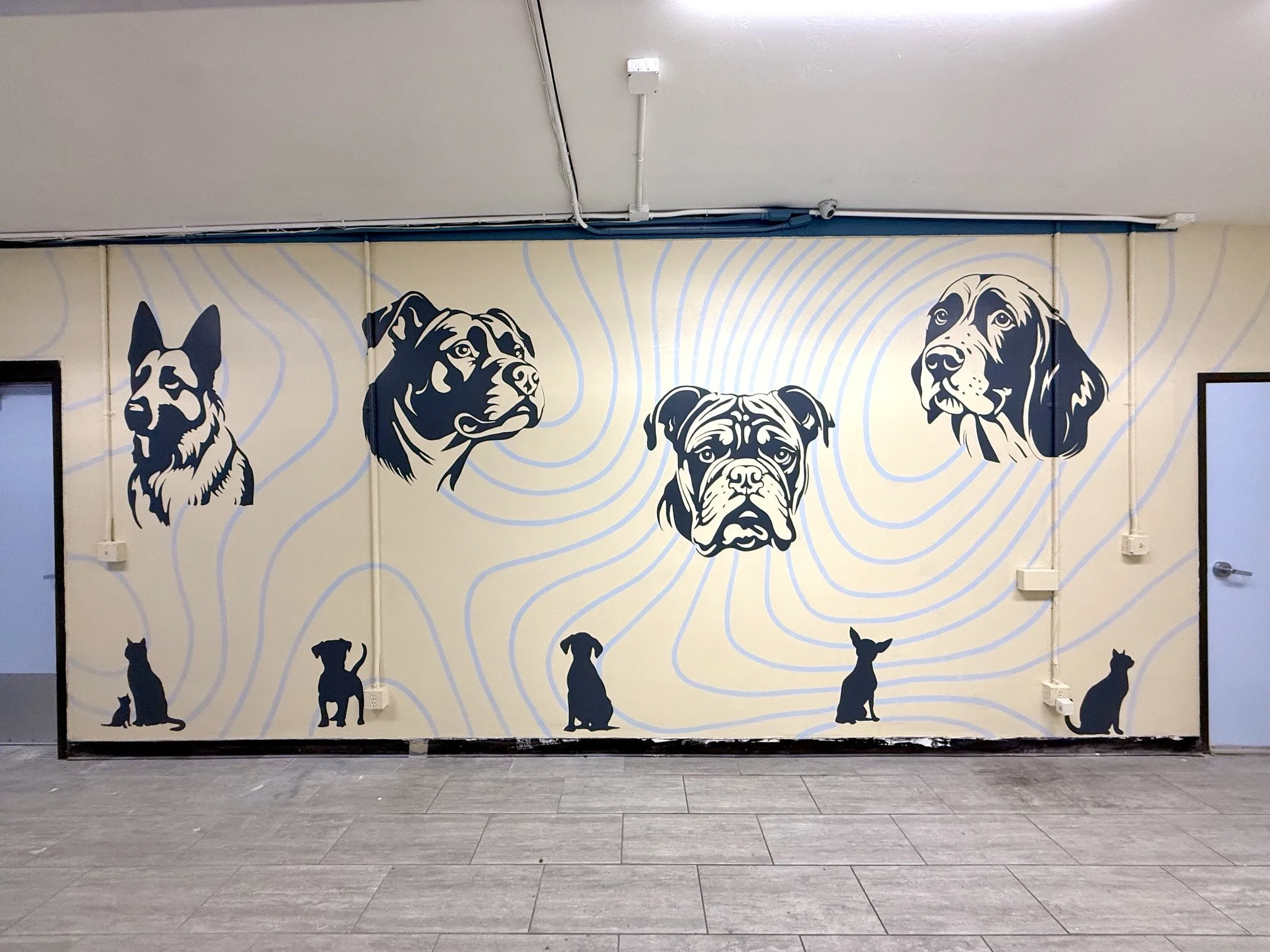 Desert Hot Springs Animal Shelter