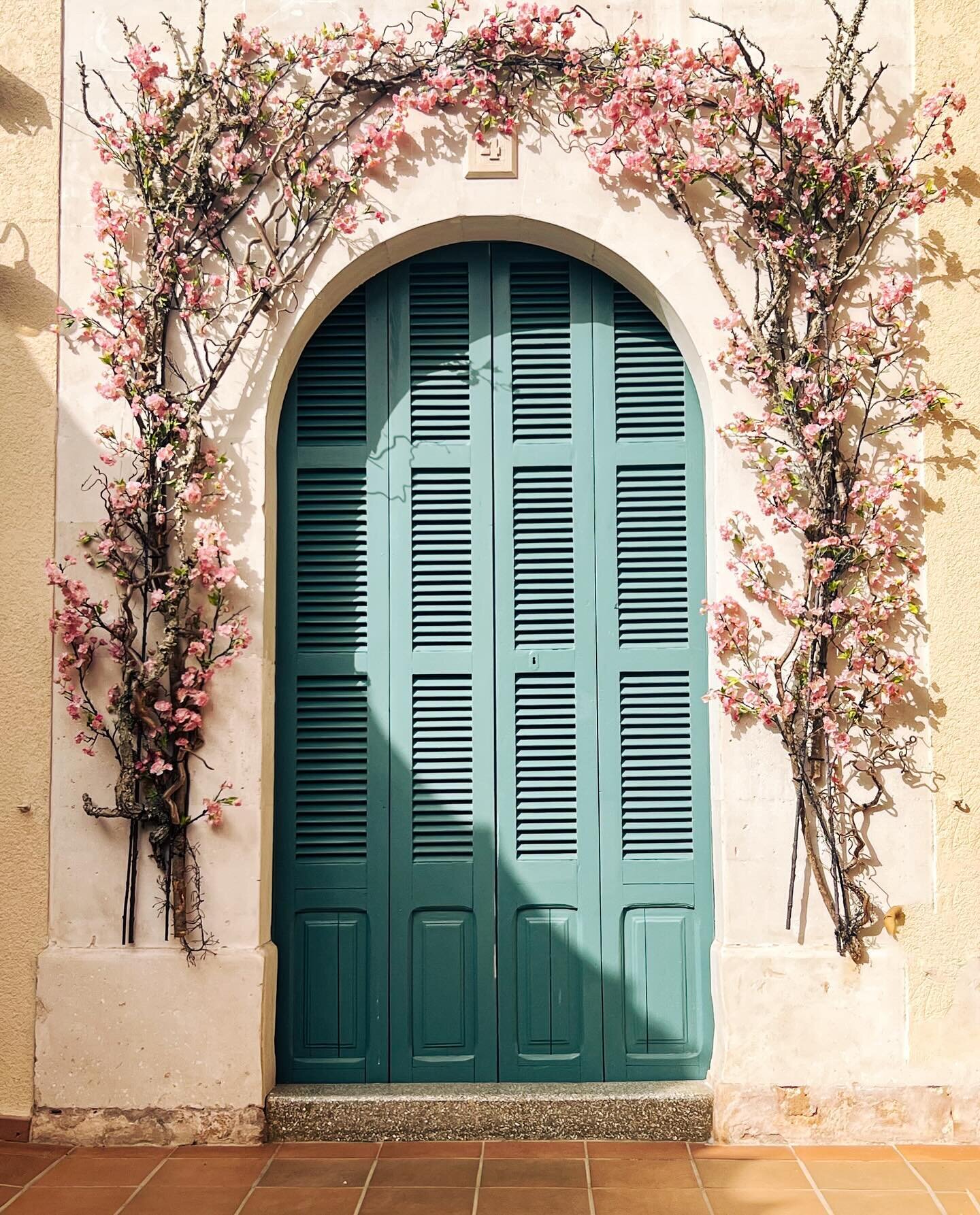 📍Mallorca, Spain

The prettiest doors in the sleepy town of Ses Salines. 

#travelplanner #tripplanner #travelagent #travel #travelblog #vacation #photography #holiday #viator #streetphotography #streetstyle #canon #canonrebel #suitcasetravels #fort
