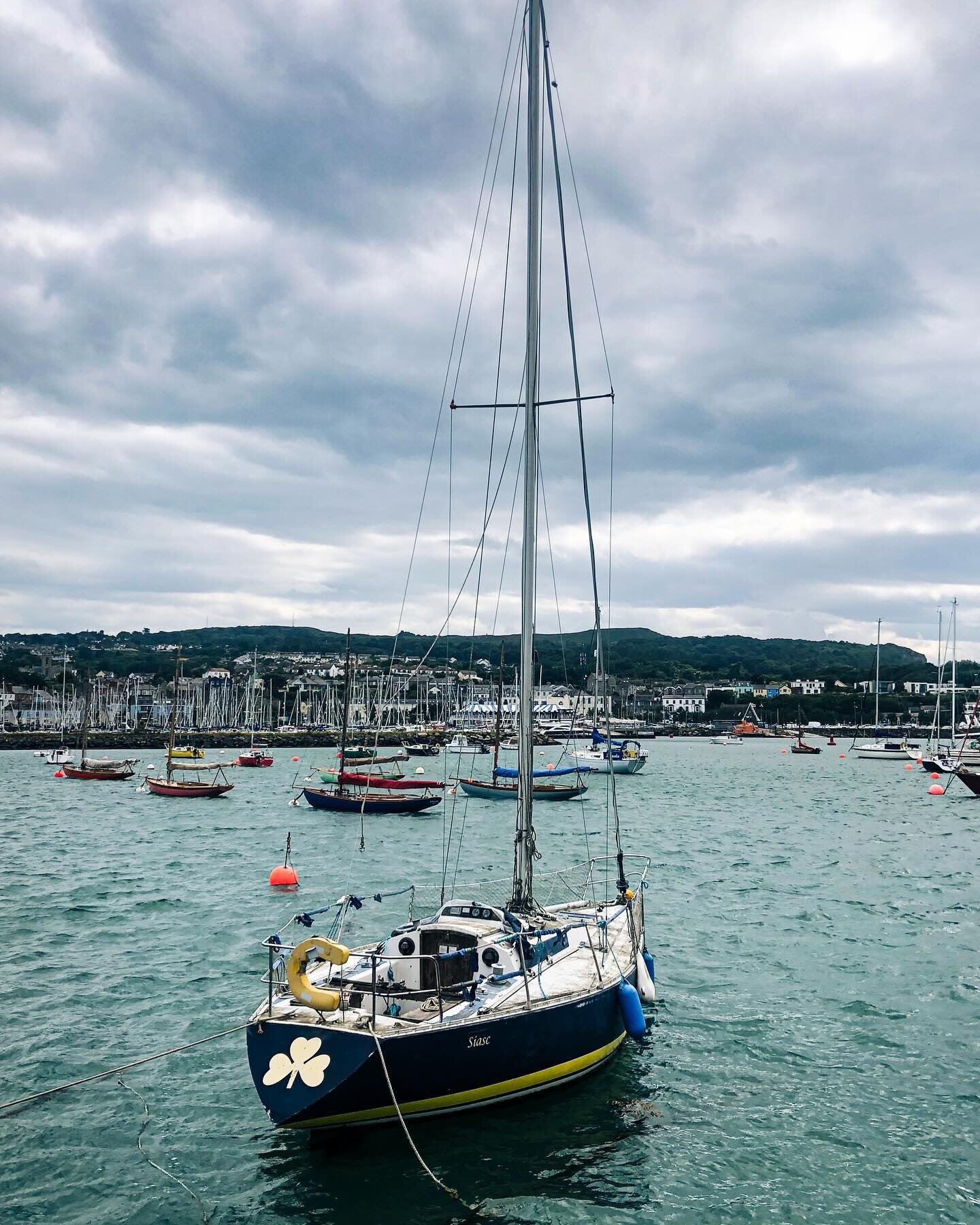 📍Howth, Ireland

Ventured away from Dublin for a day to a coastal town called Howth. Grabbed some pea soup and clam chowder on another gloomy day in Ireland. 

#travel #travelblog #vacation #photography #holiday #viator #streetphotography #streetsty