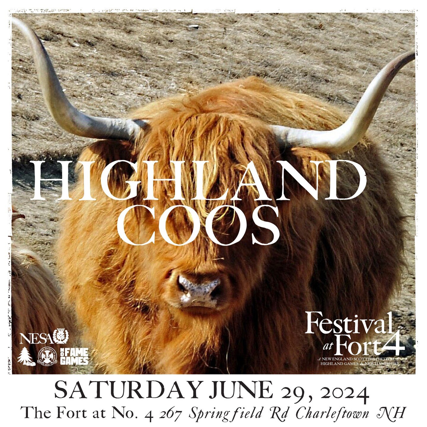 Come see everyone's favorite #highlandcoos at The Festival at Fort 4 on June 29th, 2024. 
Get your tickets today!
#highlandgames #festivalatfort4 #highlandcows #highlandcows🐮 #highlandcowsofinstagram🐂 #highlandcowsofinstagram #stonelifting #pipesan