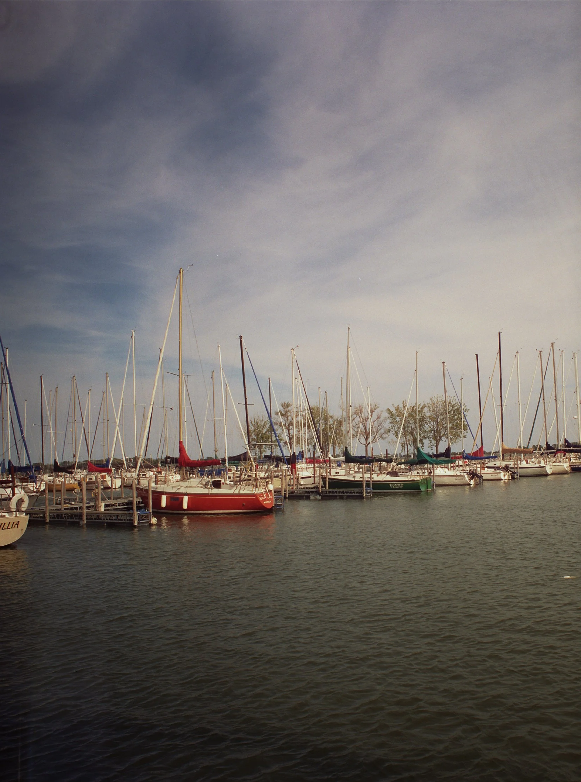 ---_0049.jpg