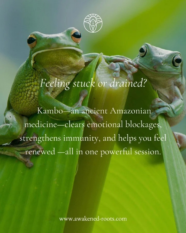 Something's weighing you down&mdash;and rest isn't fixing it.

You've tried supplements, therapy, self-care routines&hellip; but the heaviness, anxiety, and fatigue are still there.

Kambo goes deeper. This ancient Amazonian medicine clears emotional