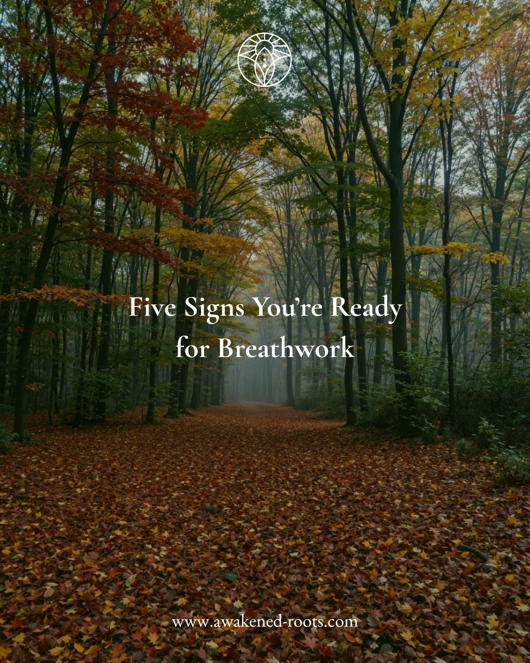 The breath is the body's oldest form of wisdom. When we learn to listen, healing begins.

You might be ready for Breathwork if:
&bull; You feel stuck emotionally but can't name why
&bull; Your nervous system is on constant high alert
&bull; You're cr